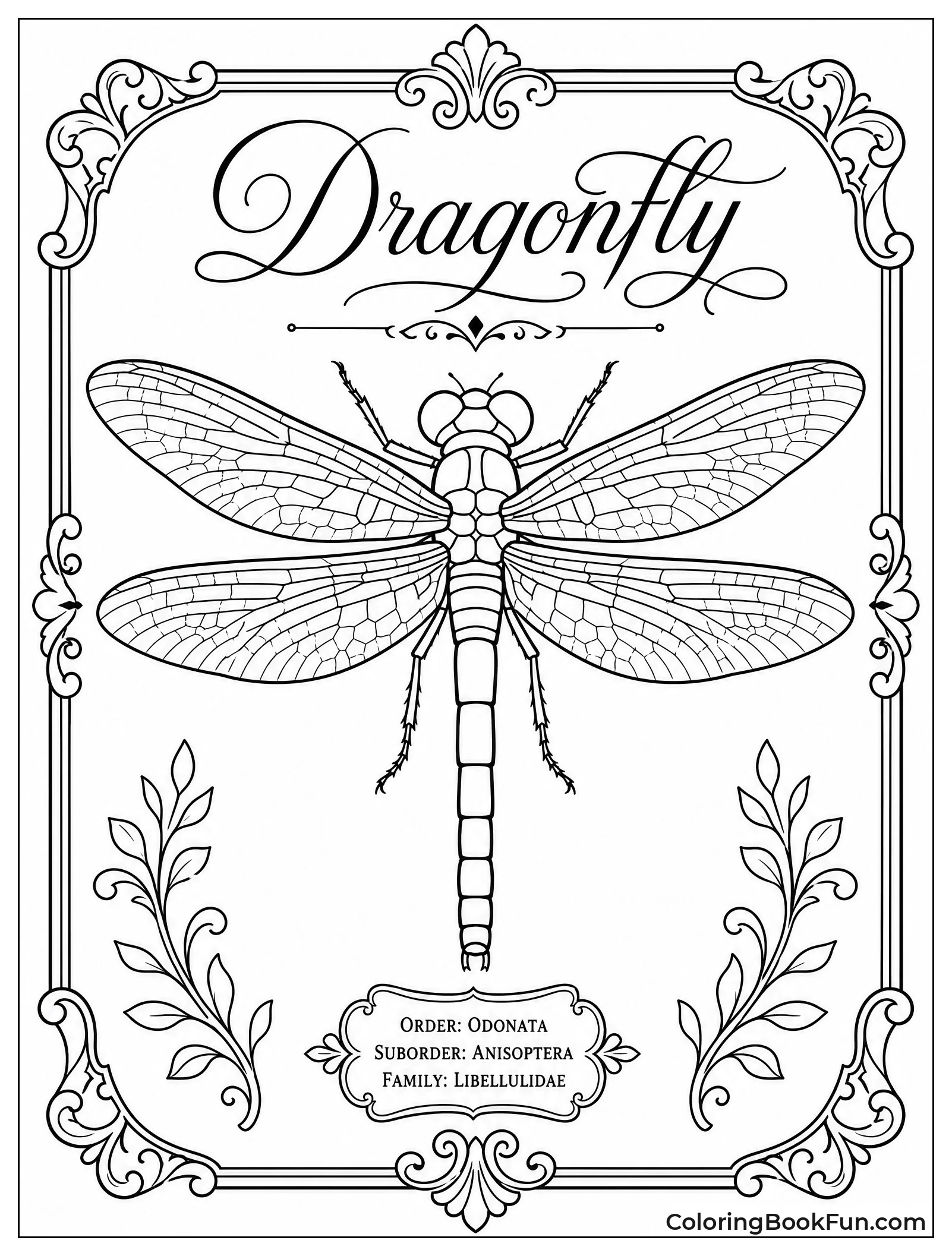 Vintage Dragonfly Botanical Drawing