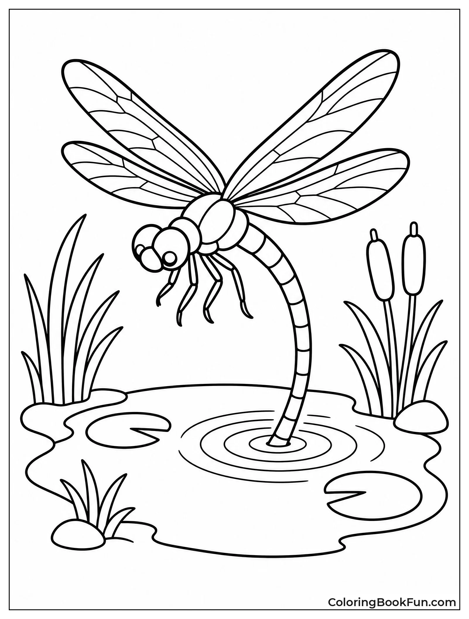 Dragonfly Laying Eggs in Water