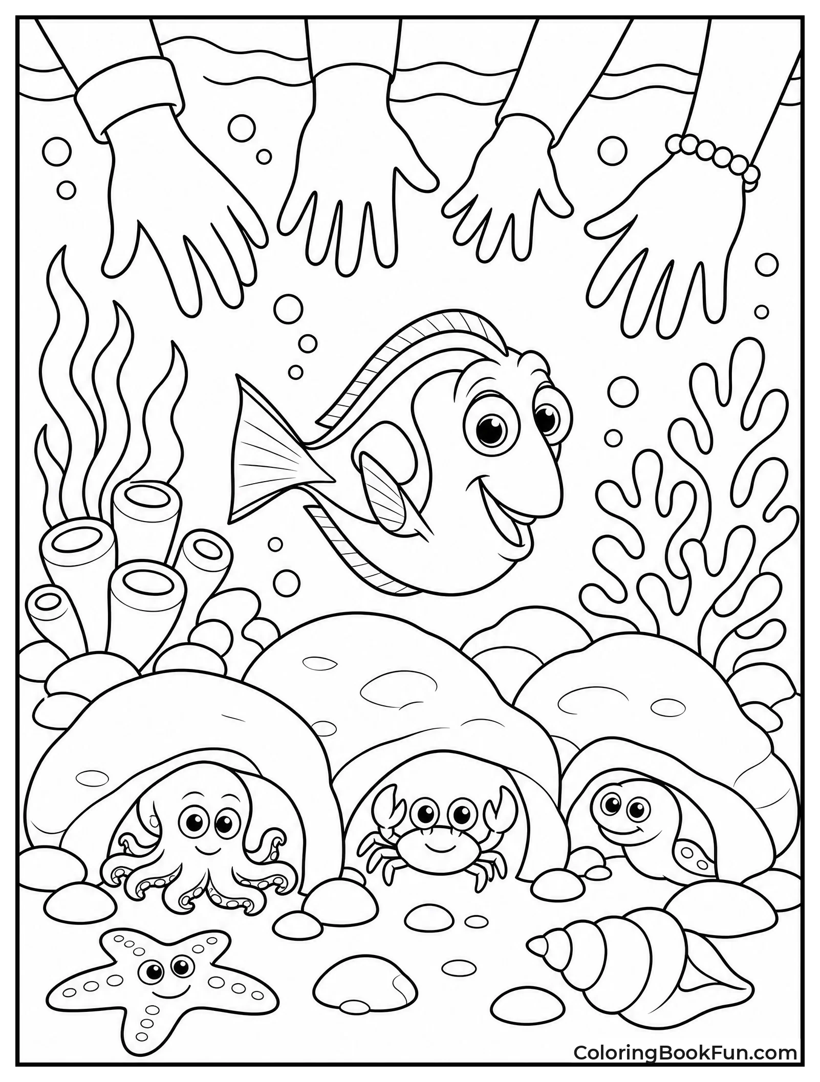 Sea Creatures Hiding from Reaching Hands