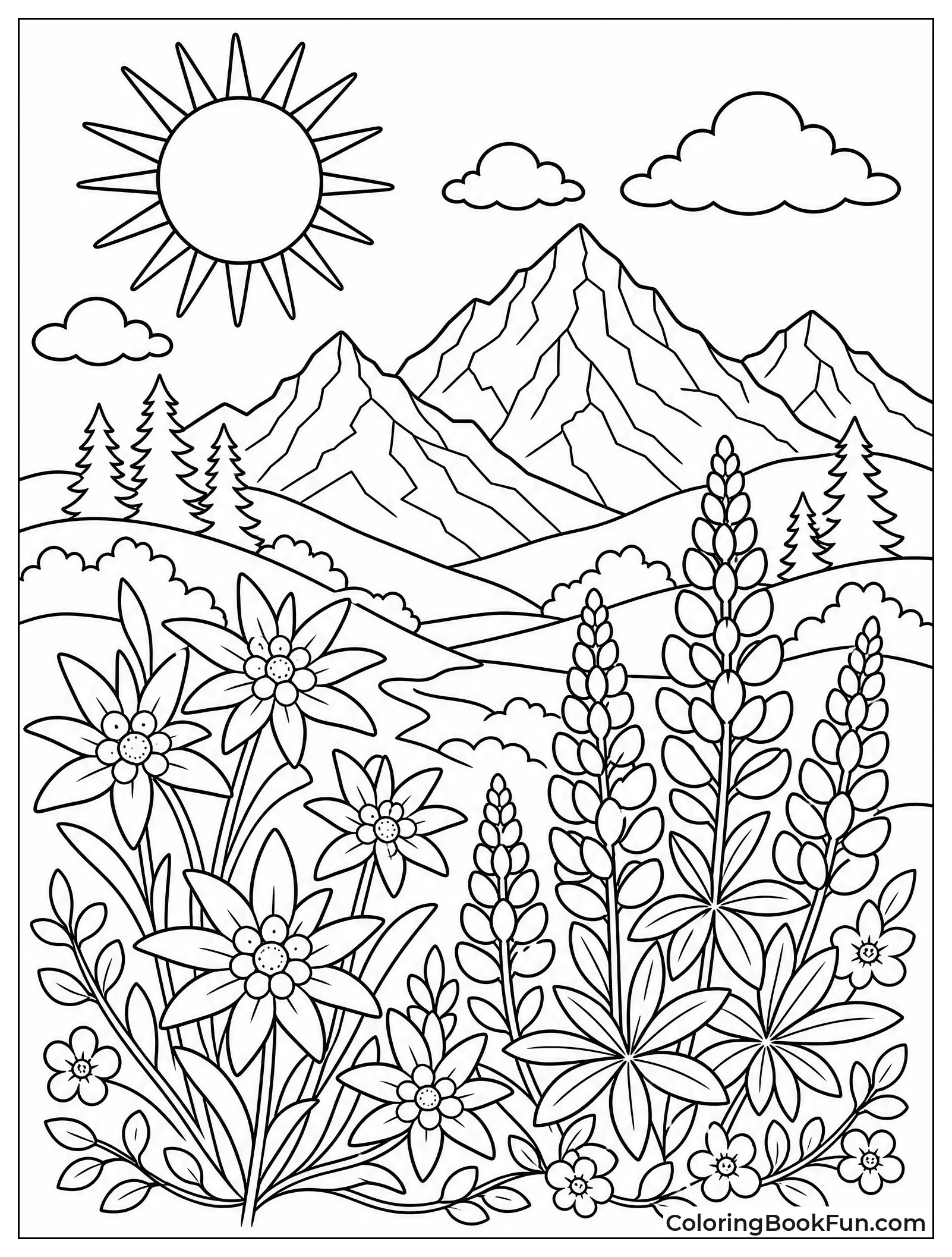 Wildflowers on a Mountain Meadow