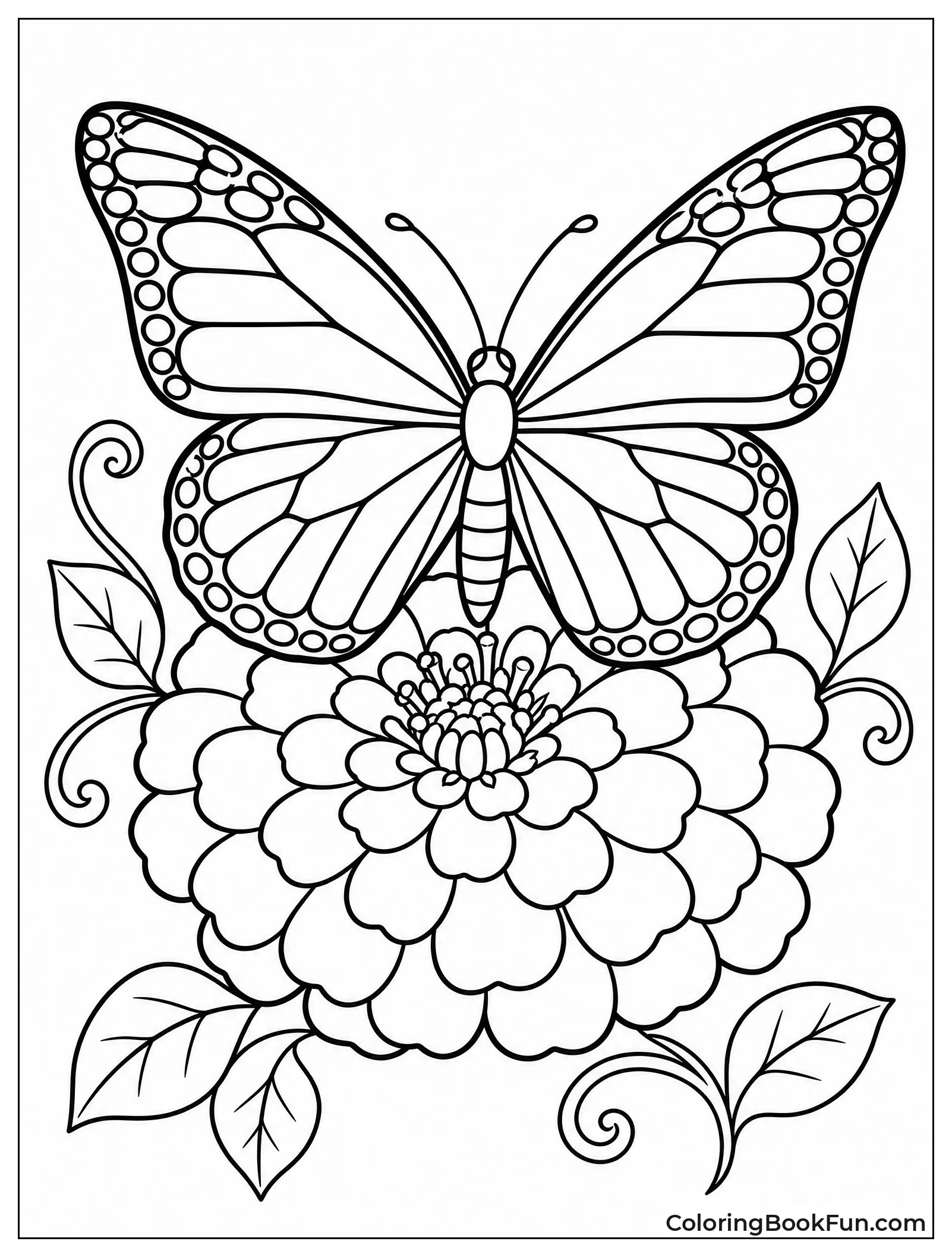 Butterfly Resting on a Zinnia