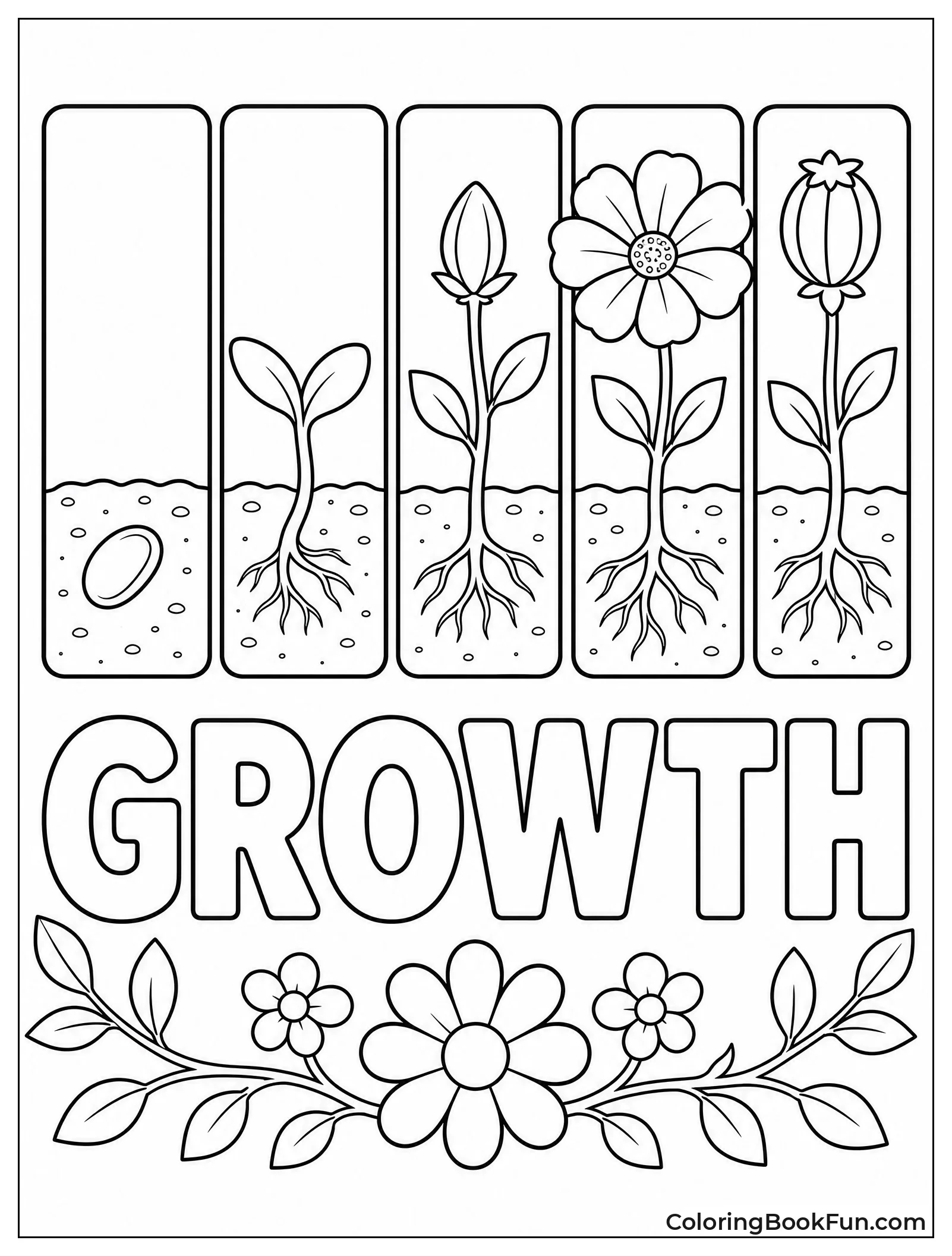 Flower Life Cycle in Stages