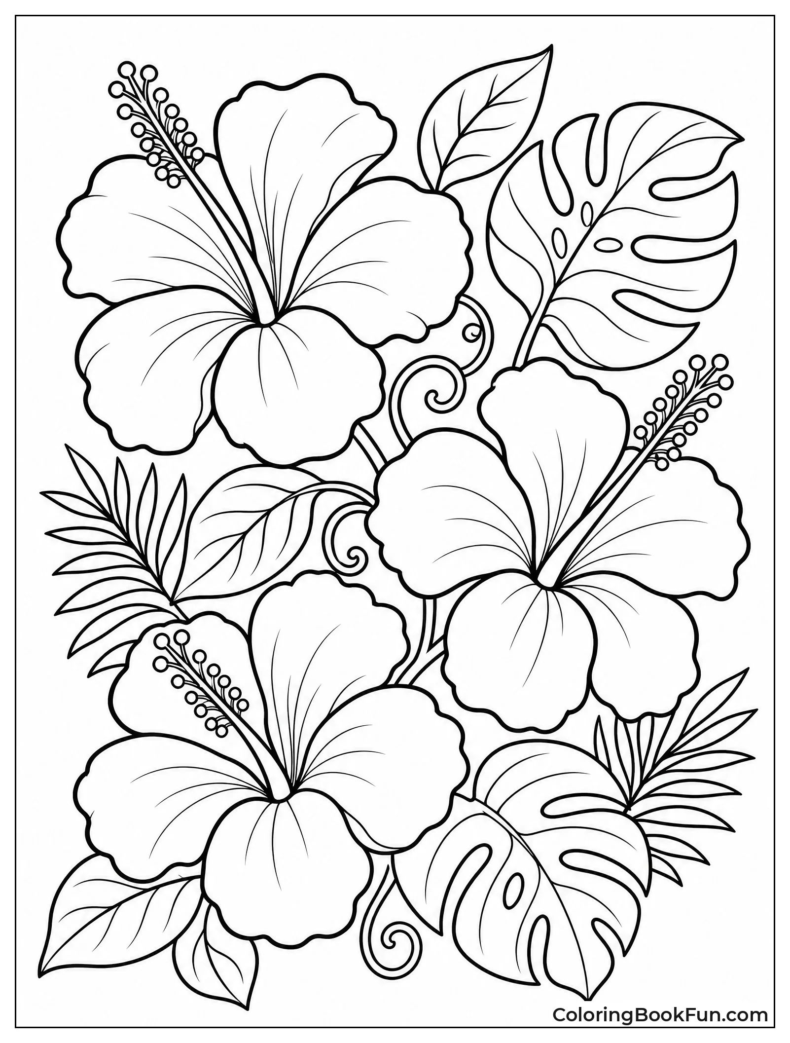 Tropical Hibiscus with Big Leaves