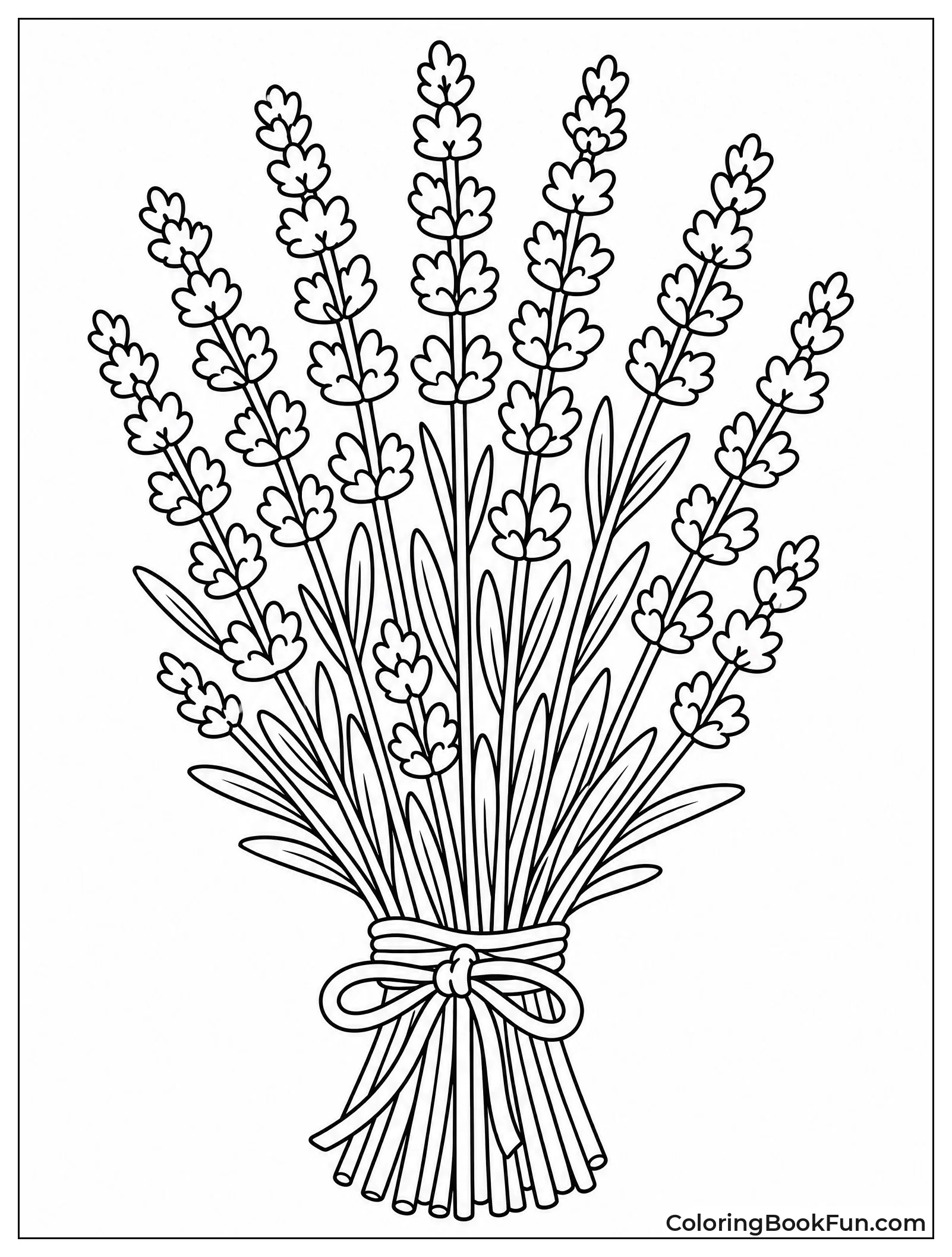 Tied Bundle of Lavender Stalks