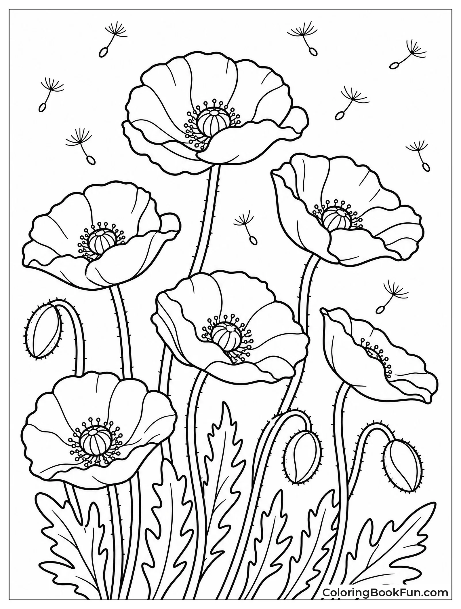 Red Poppies Swaying in Wind