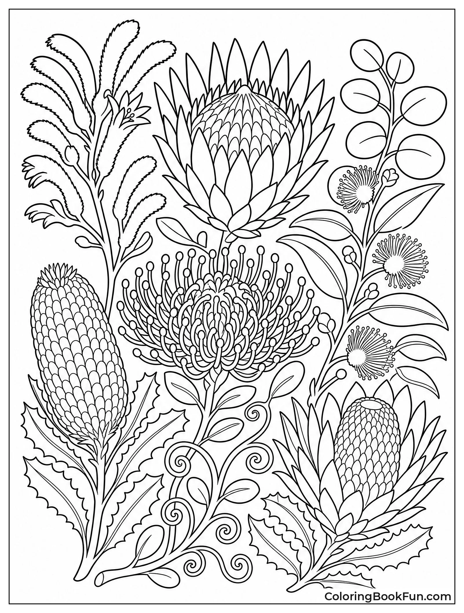 Spiky Protea and Banksia Flowers