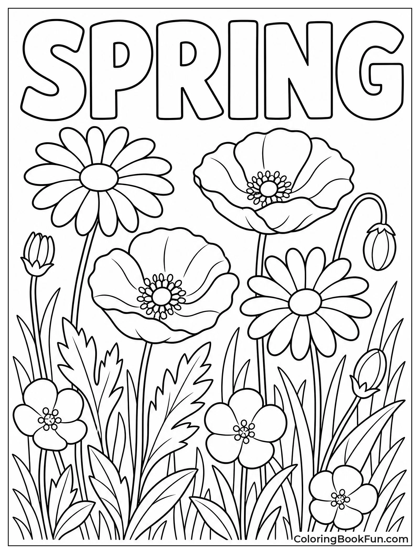 Meadow Full of Spring Wildflowers