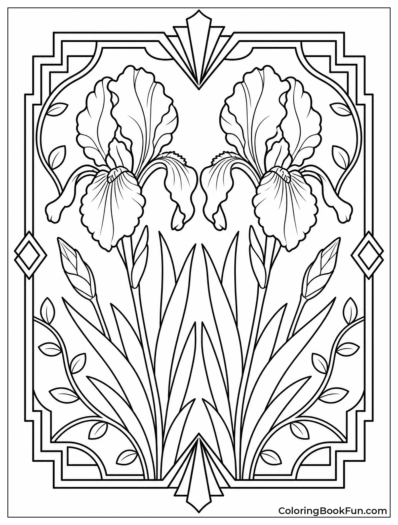 Balanced Iris in an Art Frame