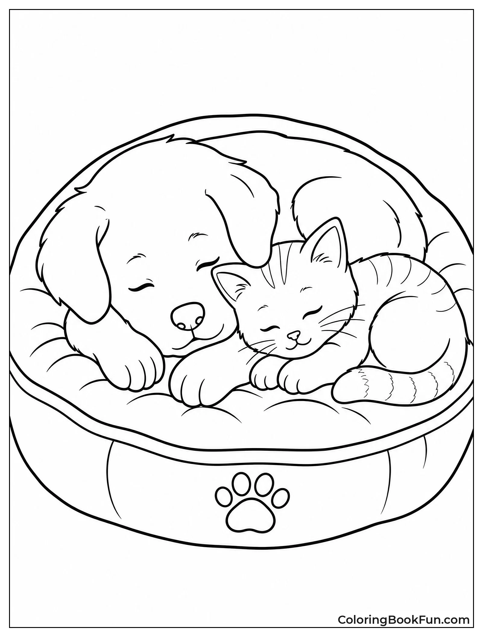 Puppy and Kitten Napping Together