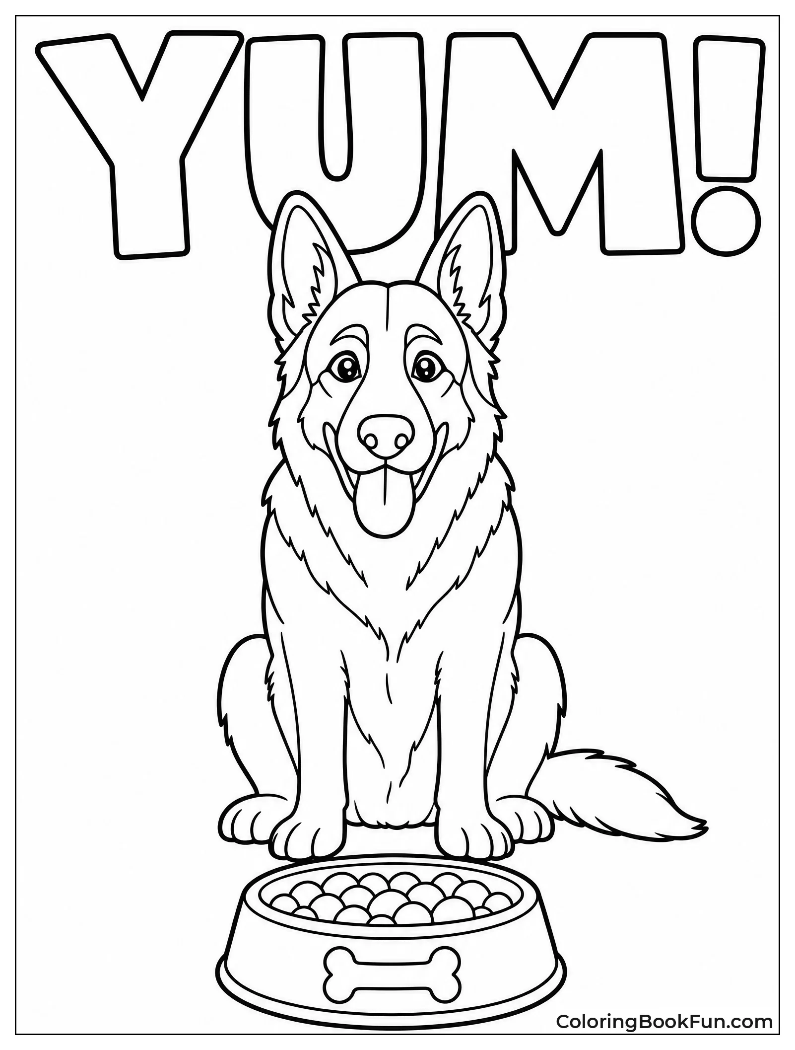 German Shepherd Waiting for Food