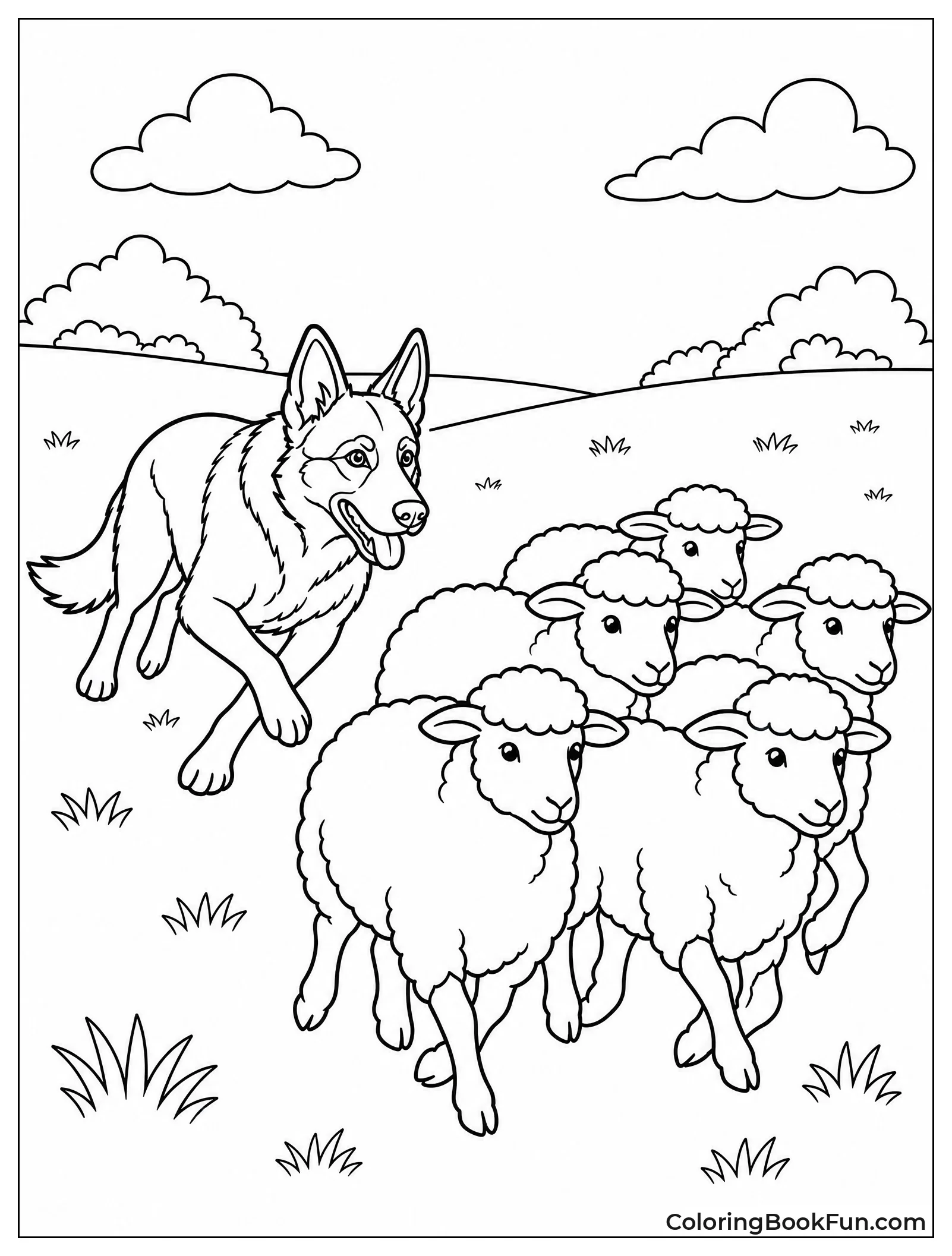 German Shepherd Herding a Flock