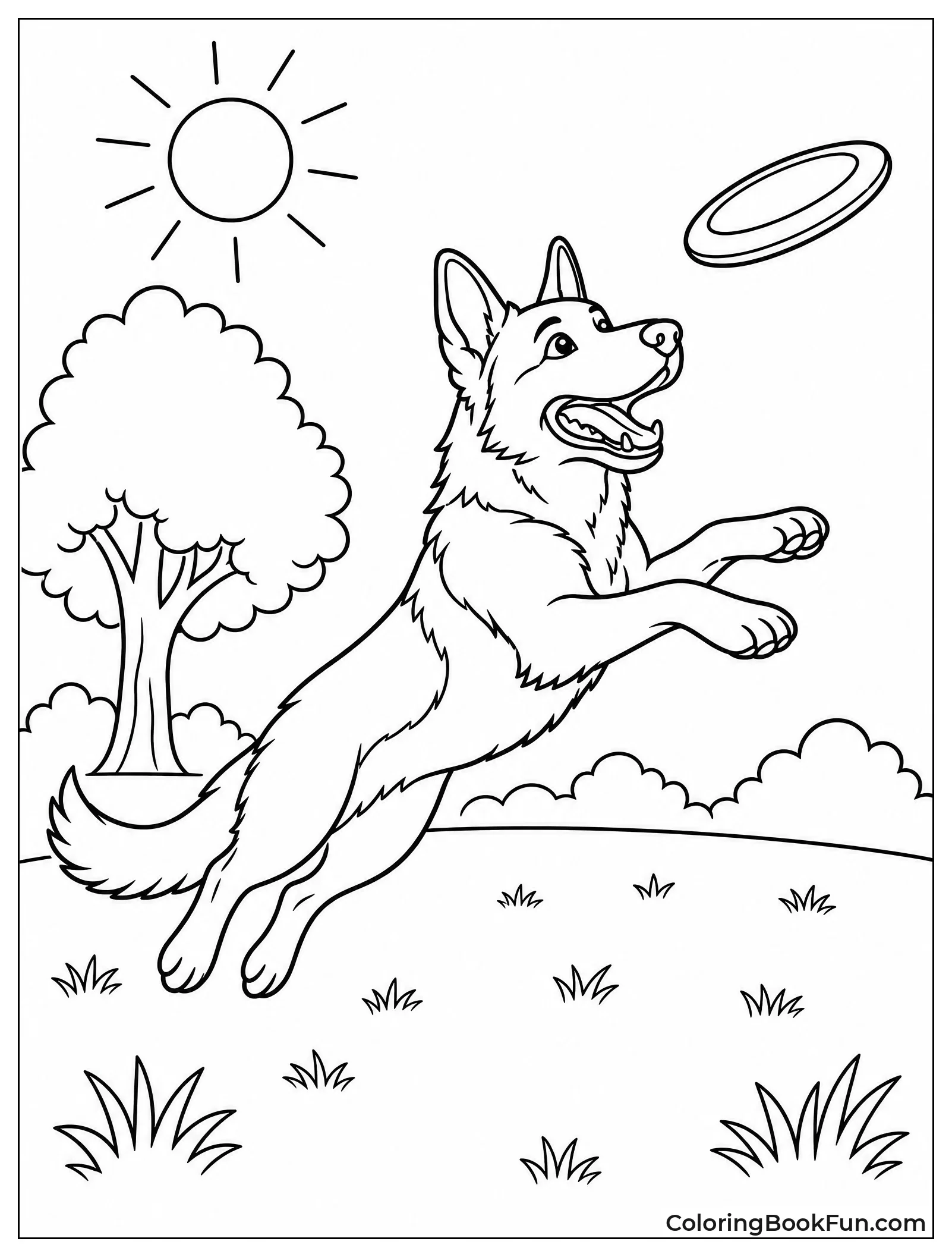 German Shepherd Catching a Frisbee