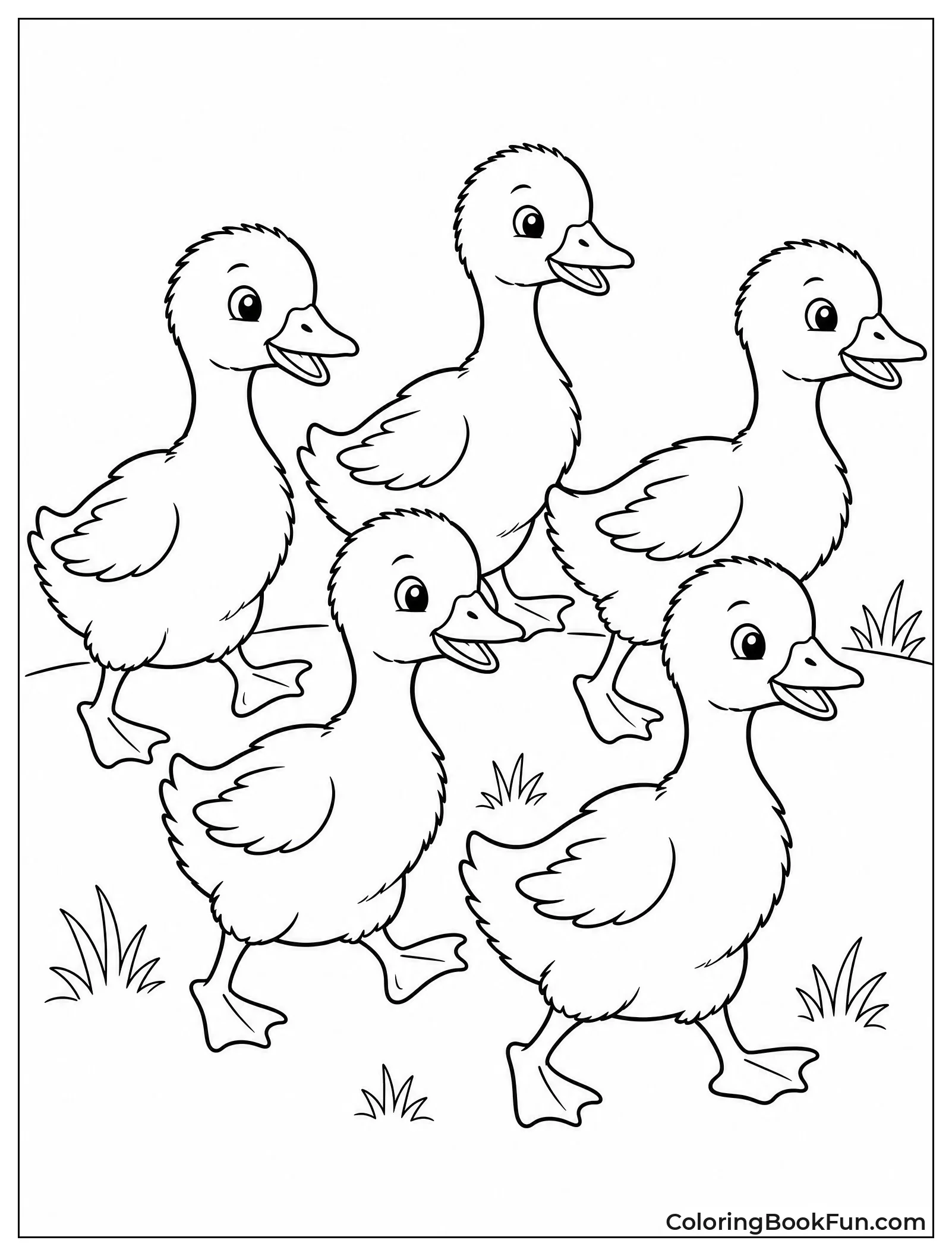 Fluffy Goslings Waddling Together
