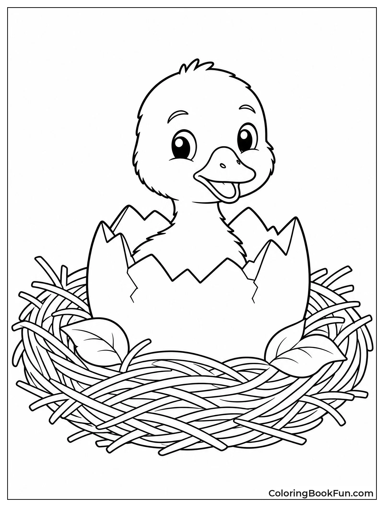 Gosling Hatching from Egg