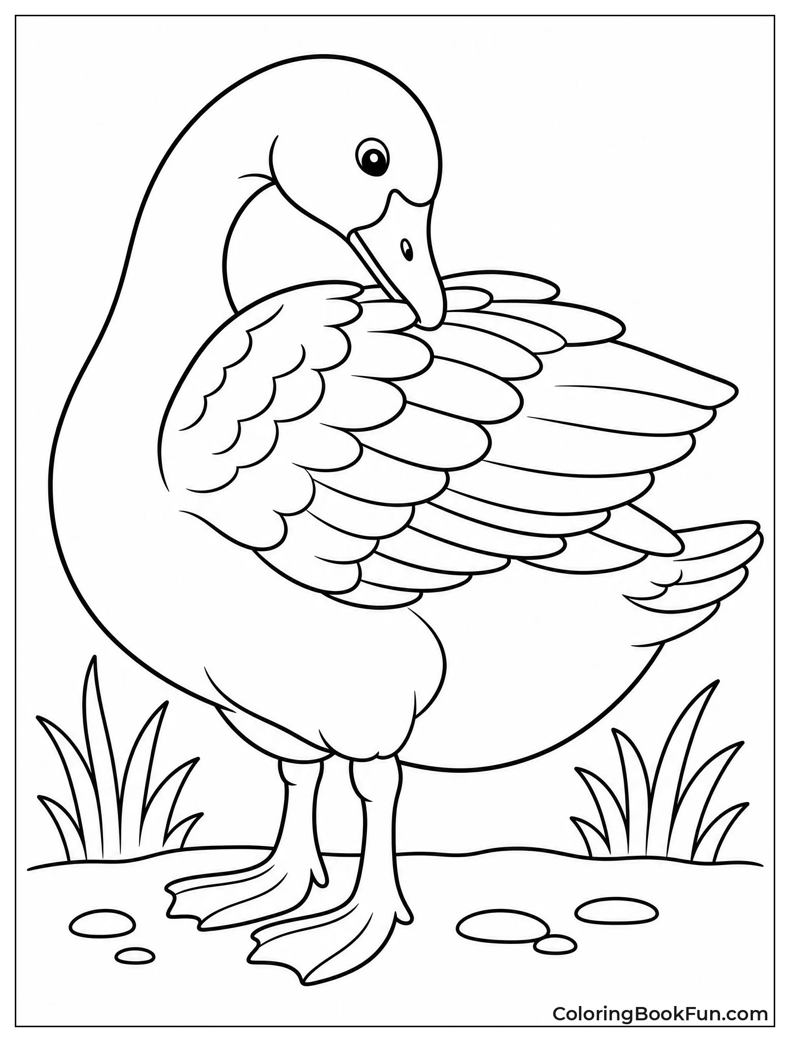 Goose Preening Its Feathers