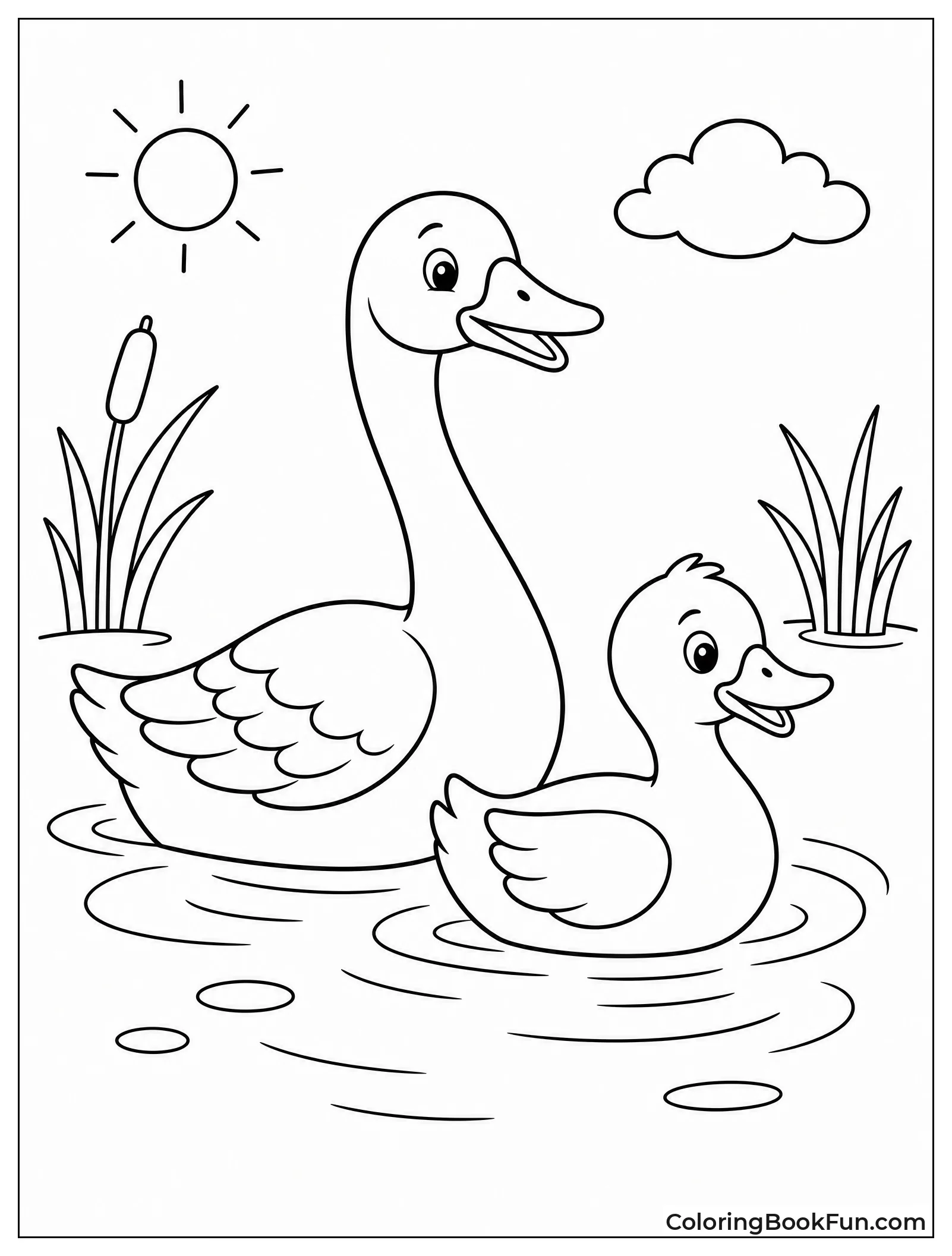 Goose Swimming with Duck Friend