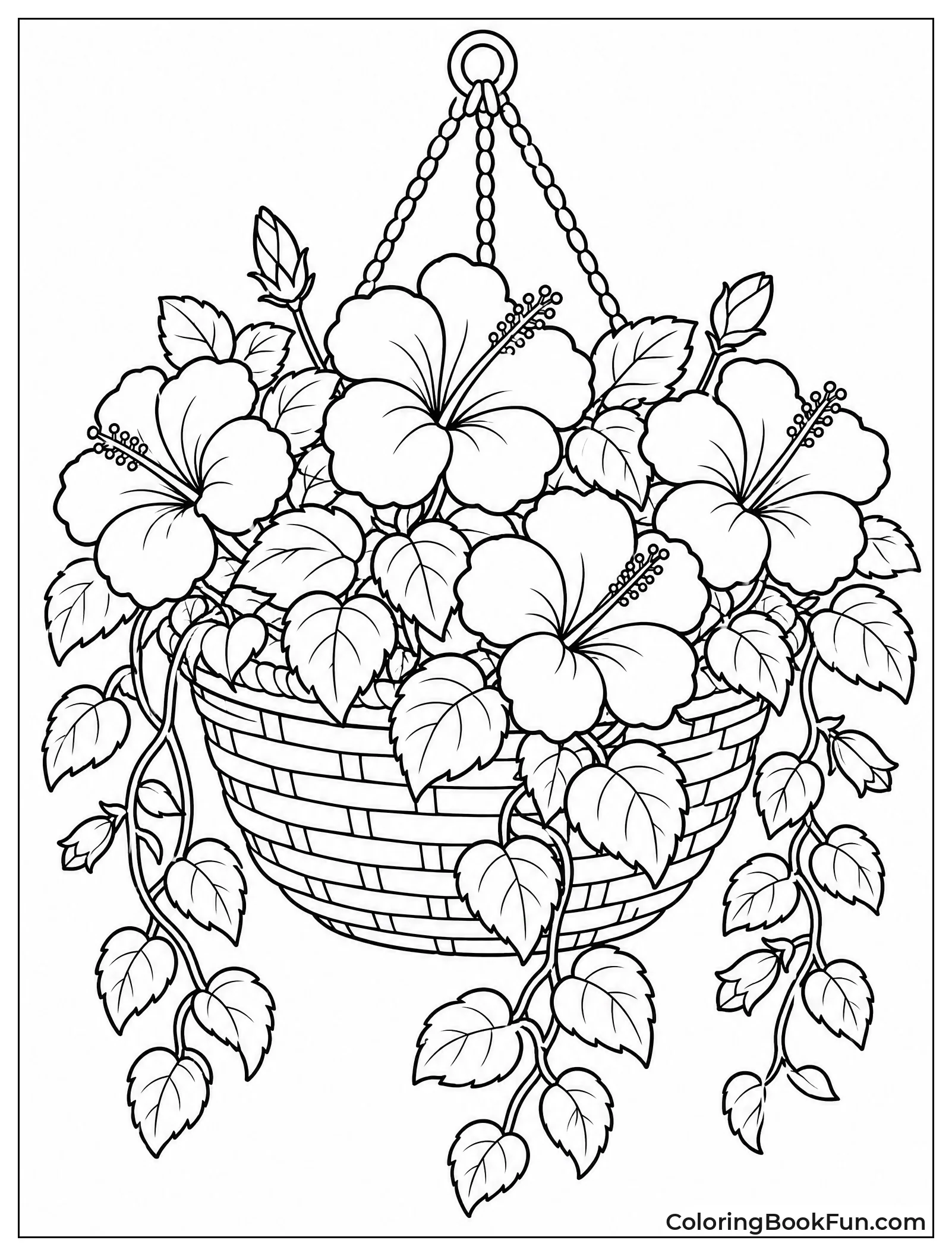 Hibiscus in a Hanging Basket