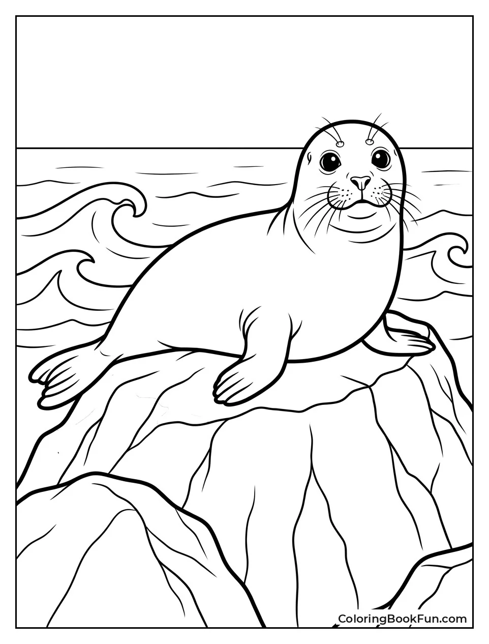 Harbor Seal Resting on Rock