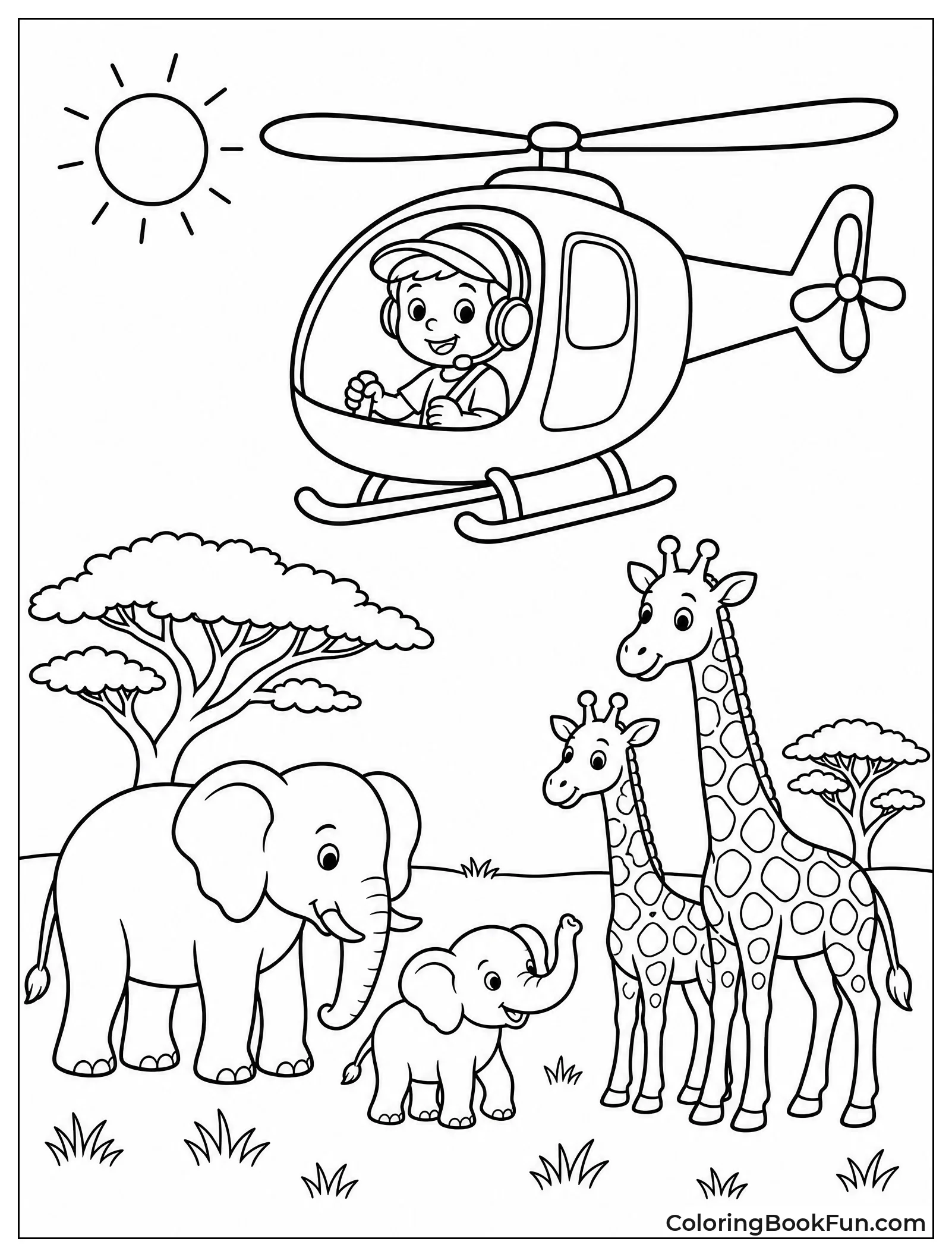 Helicopter Surveys Elephants and Giraffes