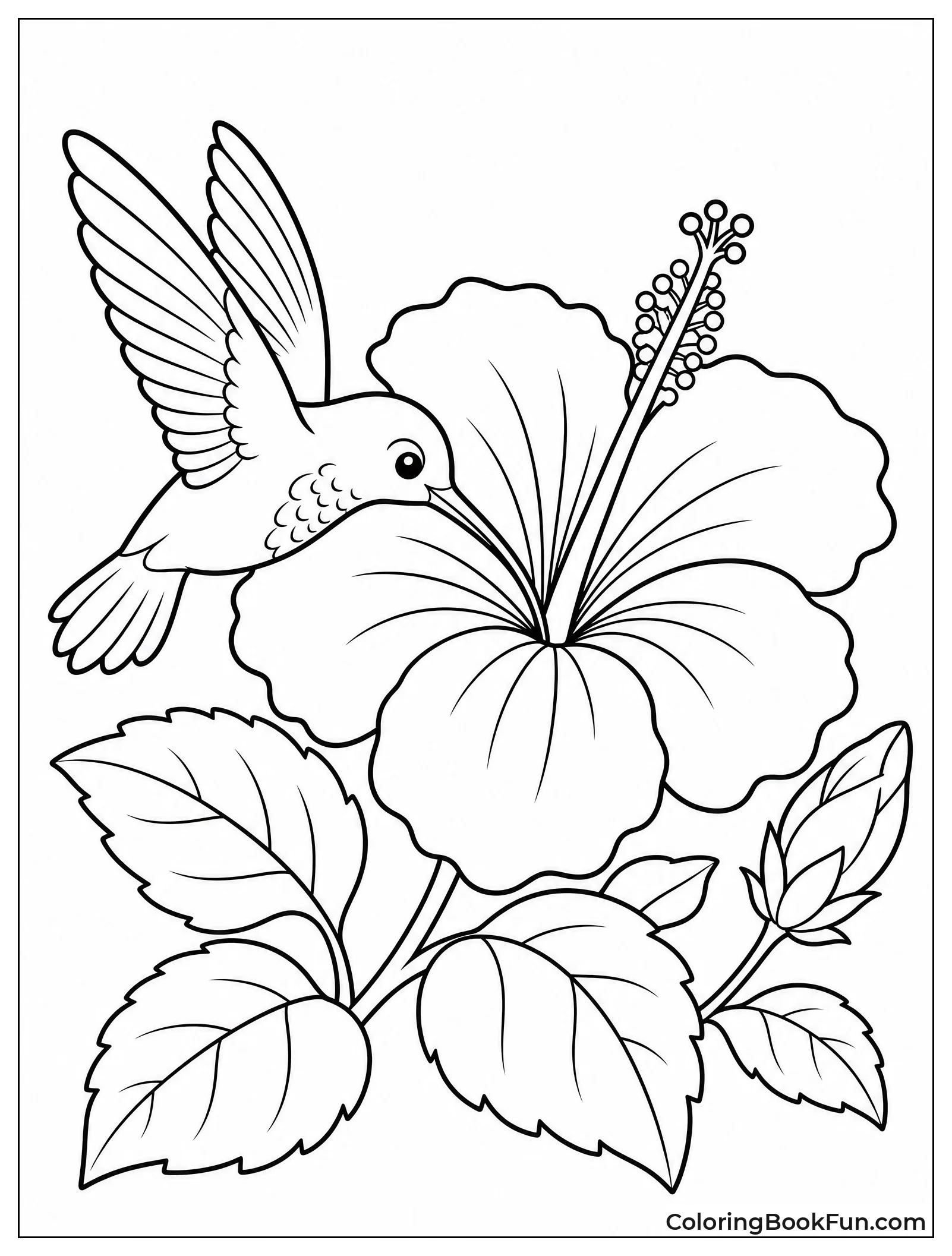 Hummingbird Drinking from Hibiscus Flower