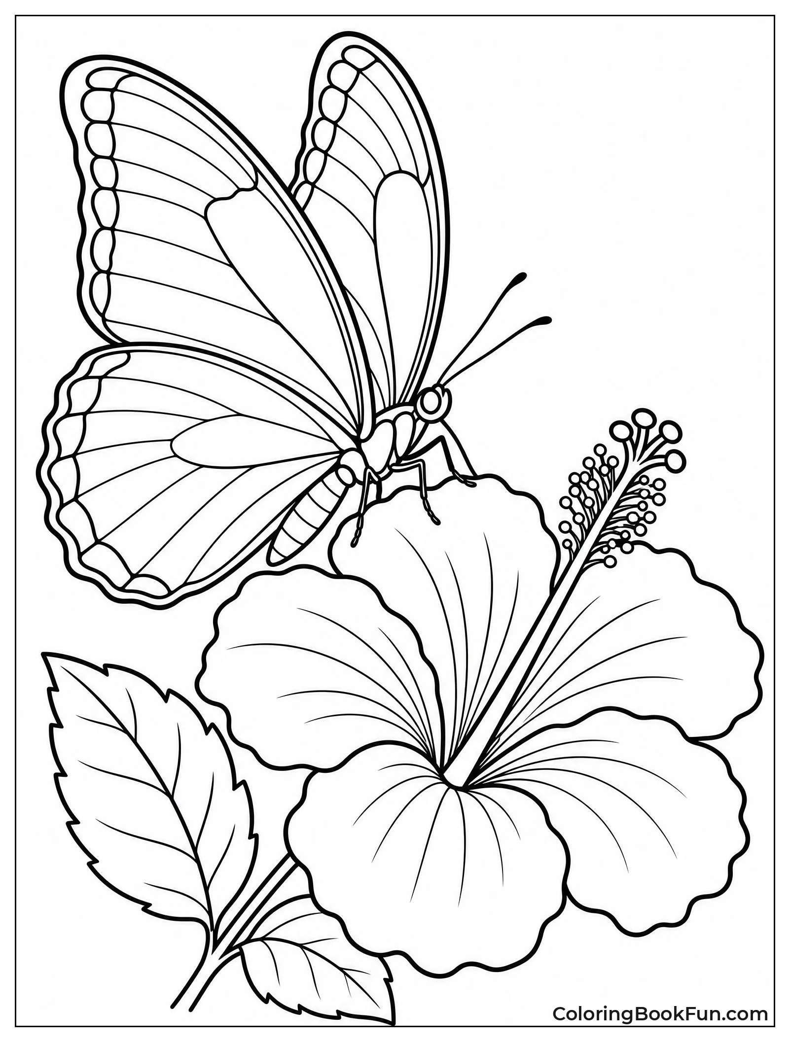 Butterfly Resting on Hibiscus Flower