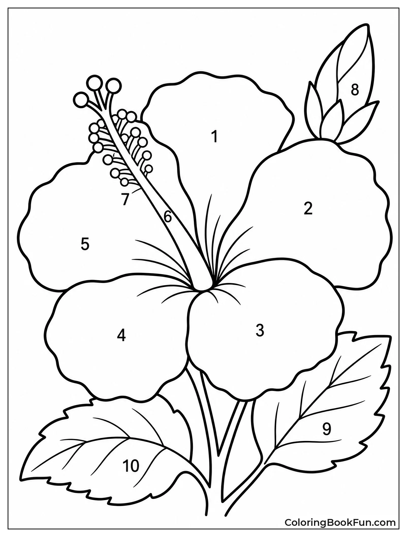 Color by Number Hibiscus Flower