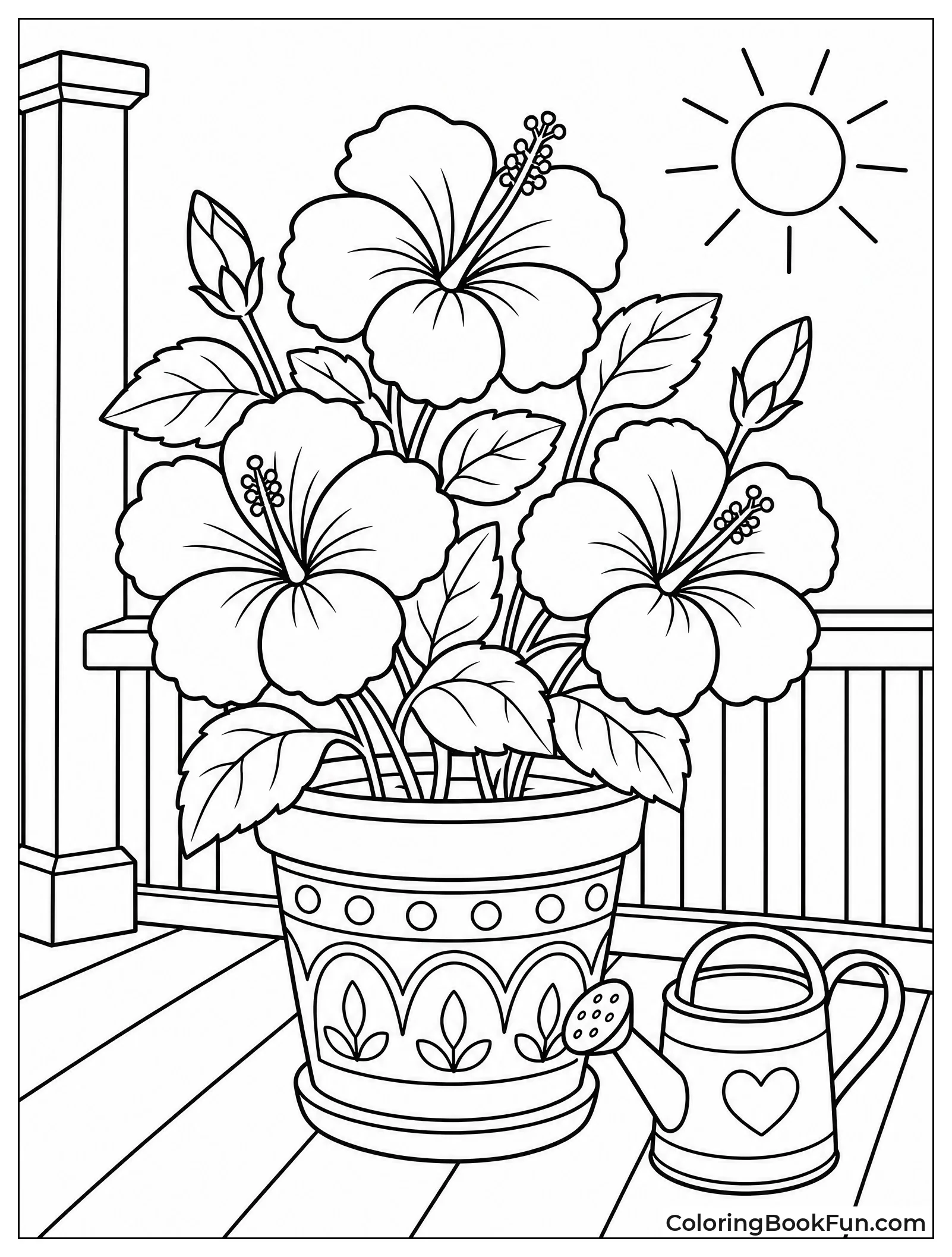 Hibiscus Plant in Terra Cotta Pot