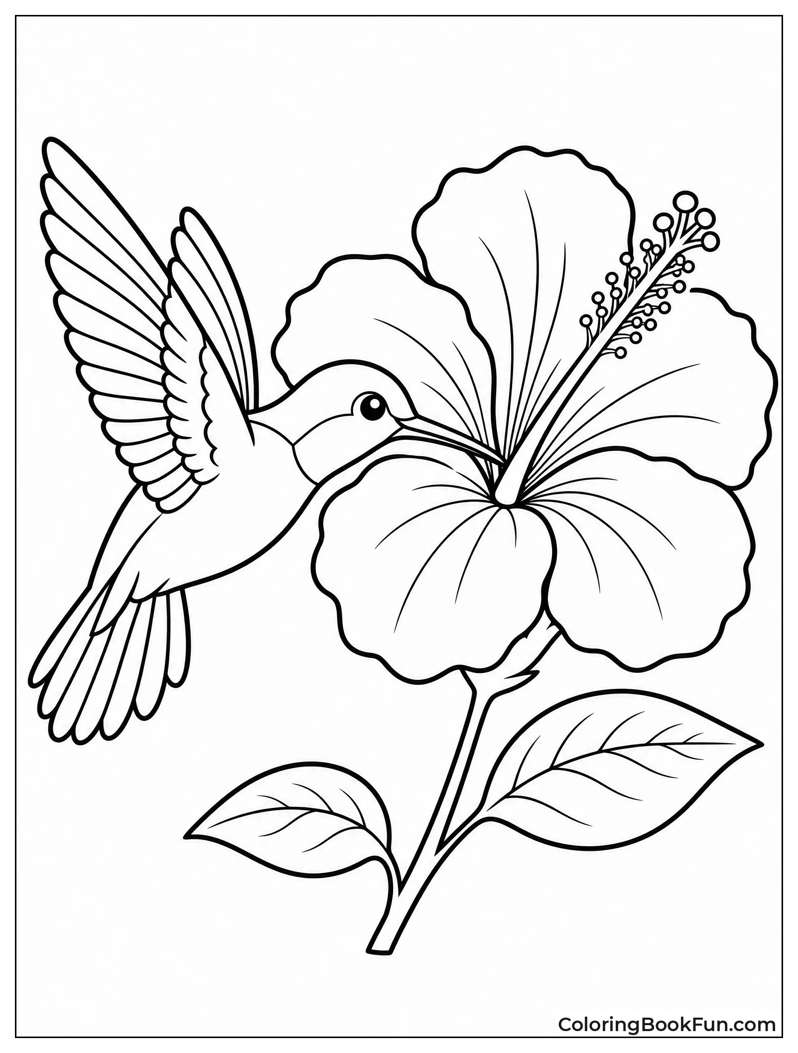 Hummingbird Flying to Hibiscus Flower