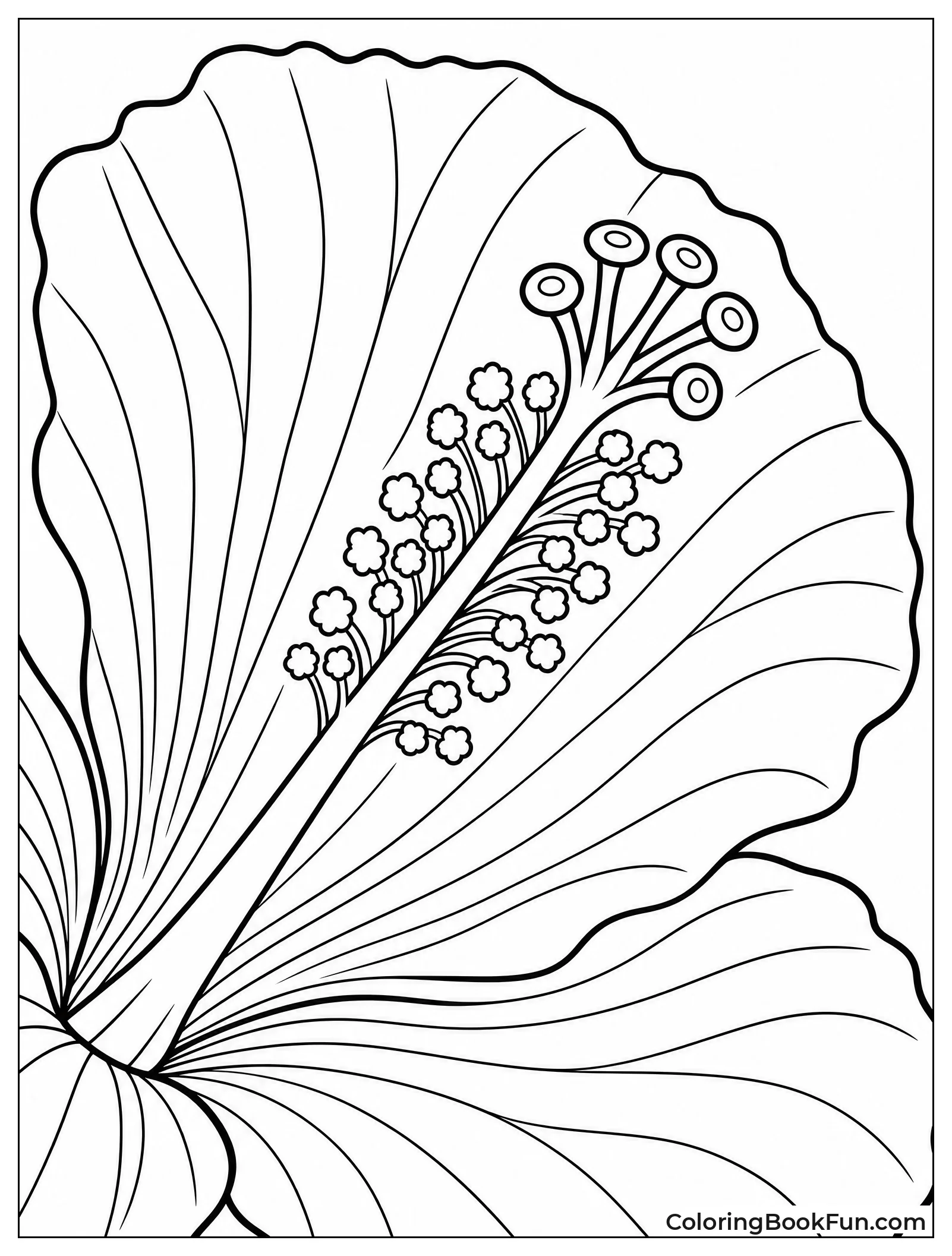 Close Up of Hibiscus Petal
