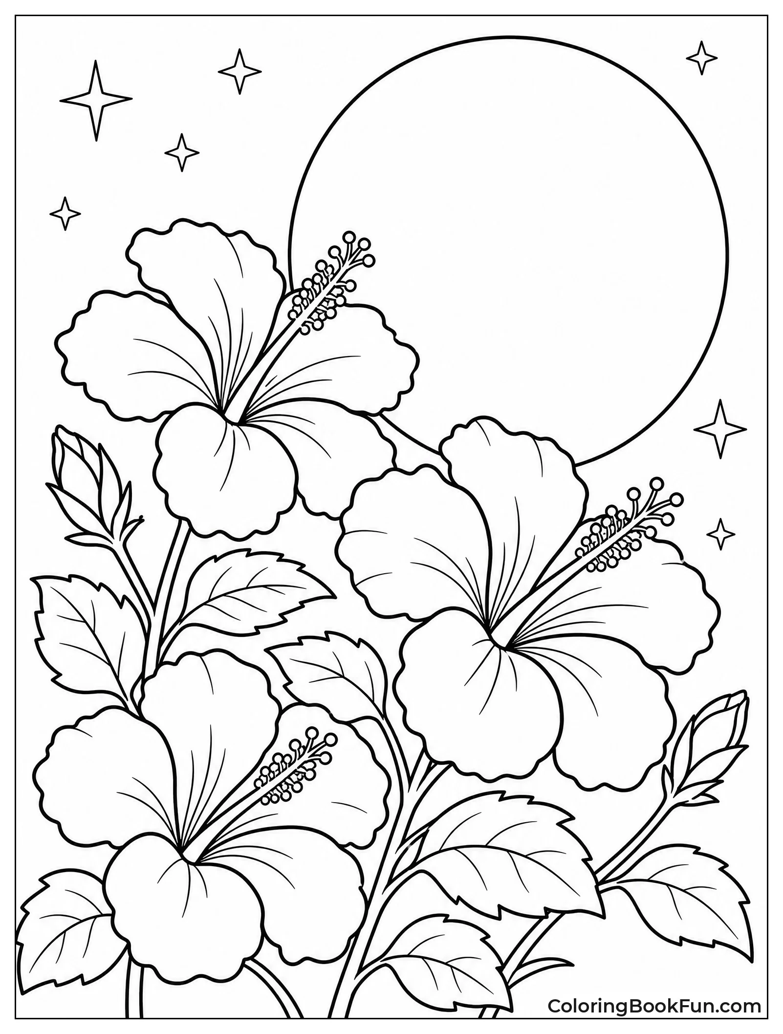 Hibiscus Flowers under the Moon