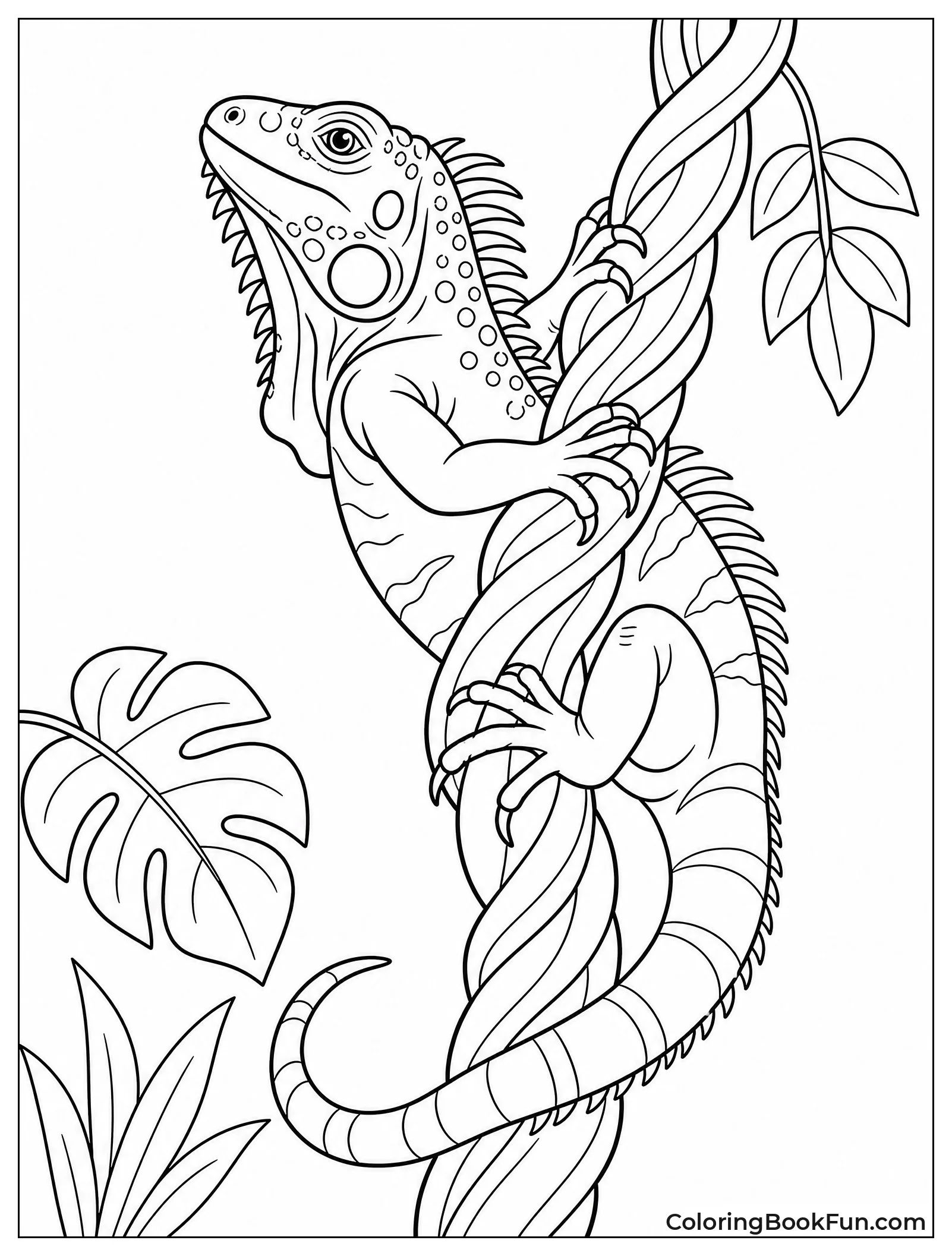 Iguana Climbs a Thick Vine