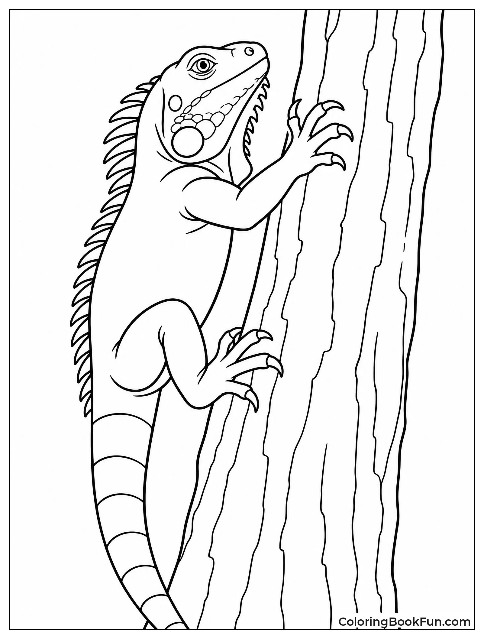 Iguana Climbs Tall Rainforest Tree