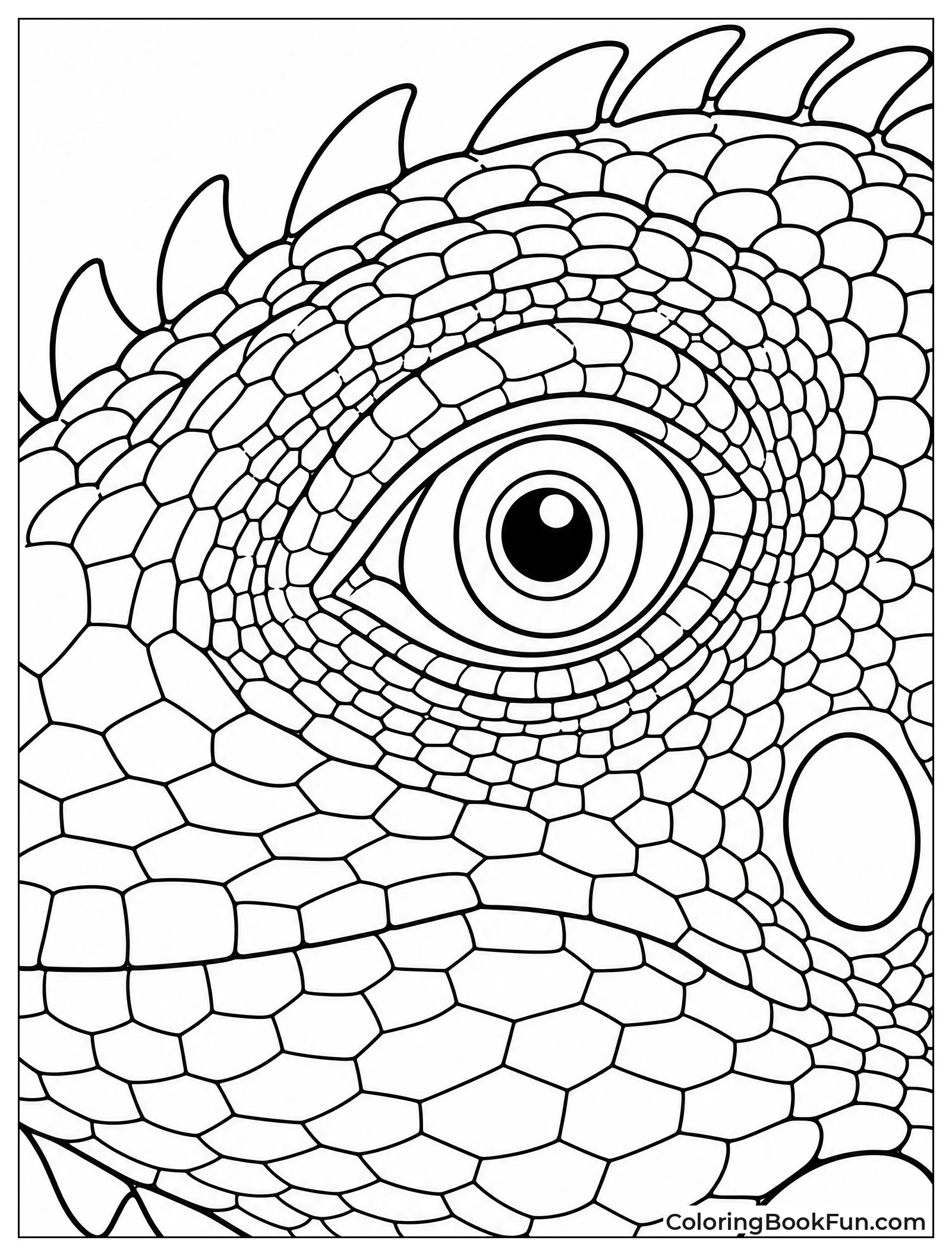 Close-up of Iguana Eye