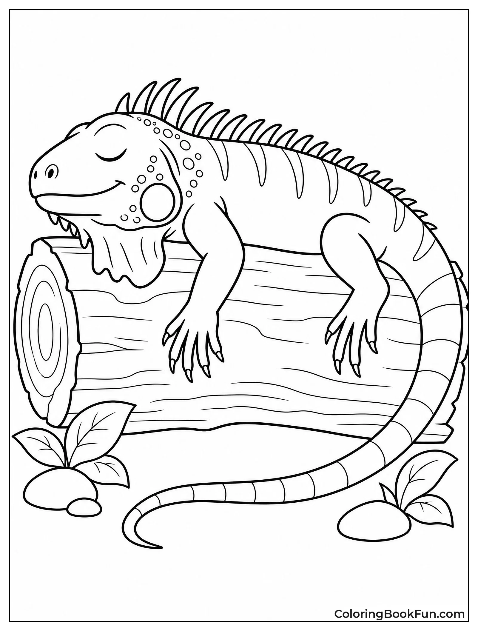 Iguana Sleeps on a Log
