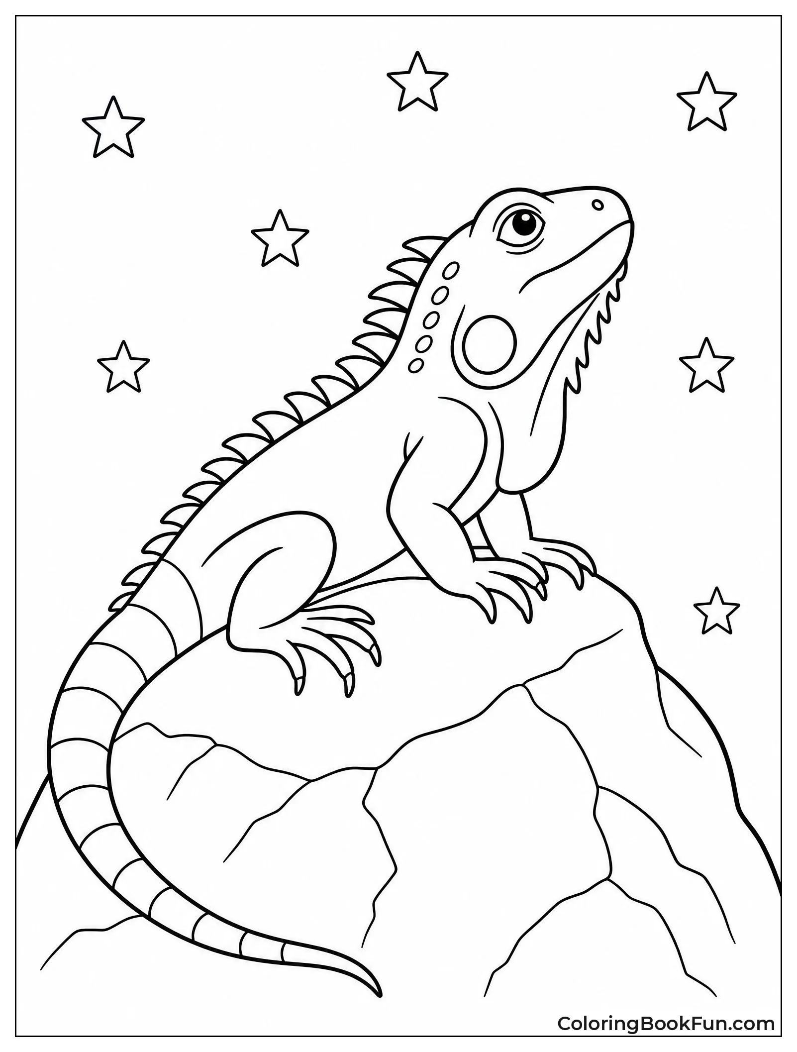 Iguana Stargazes on a Rock
