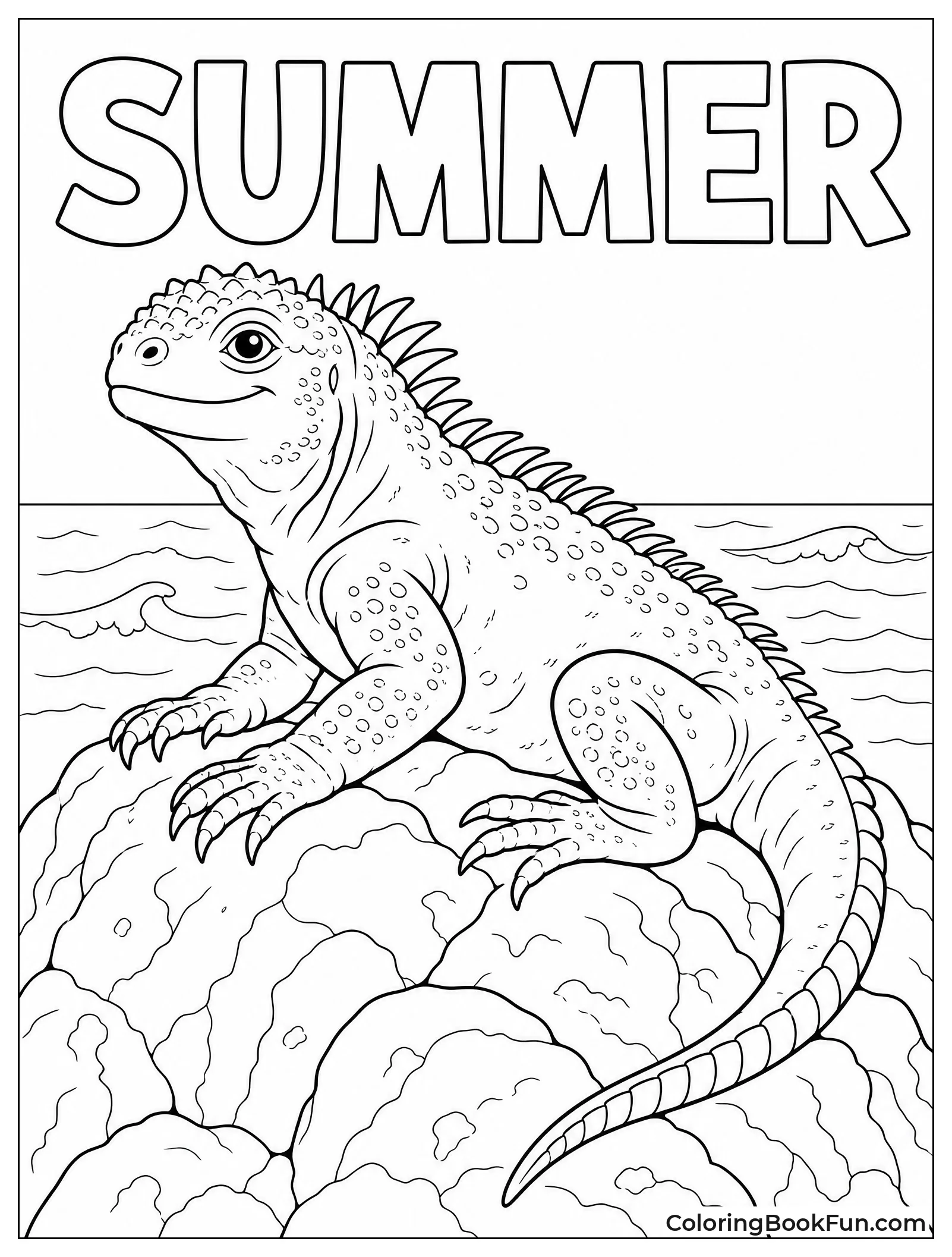 Iguana Basks on Sunny Rocks
