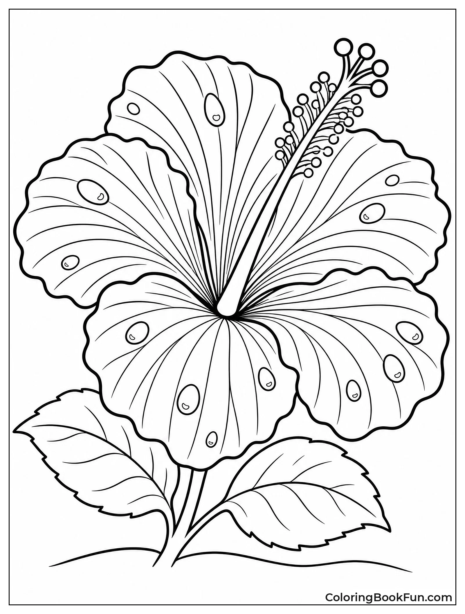 Detailed Hibiscus with Morning Dew