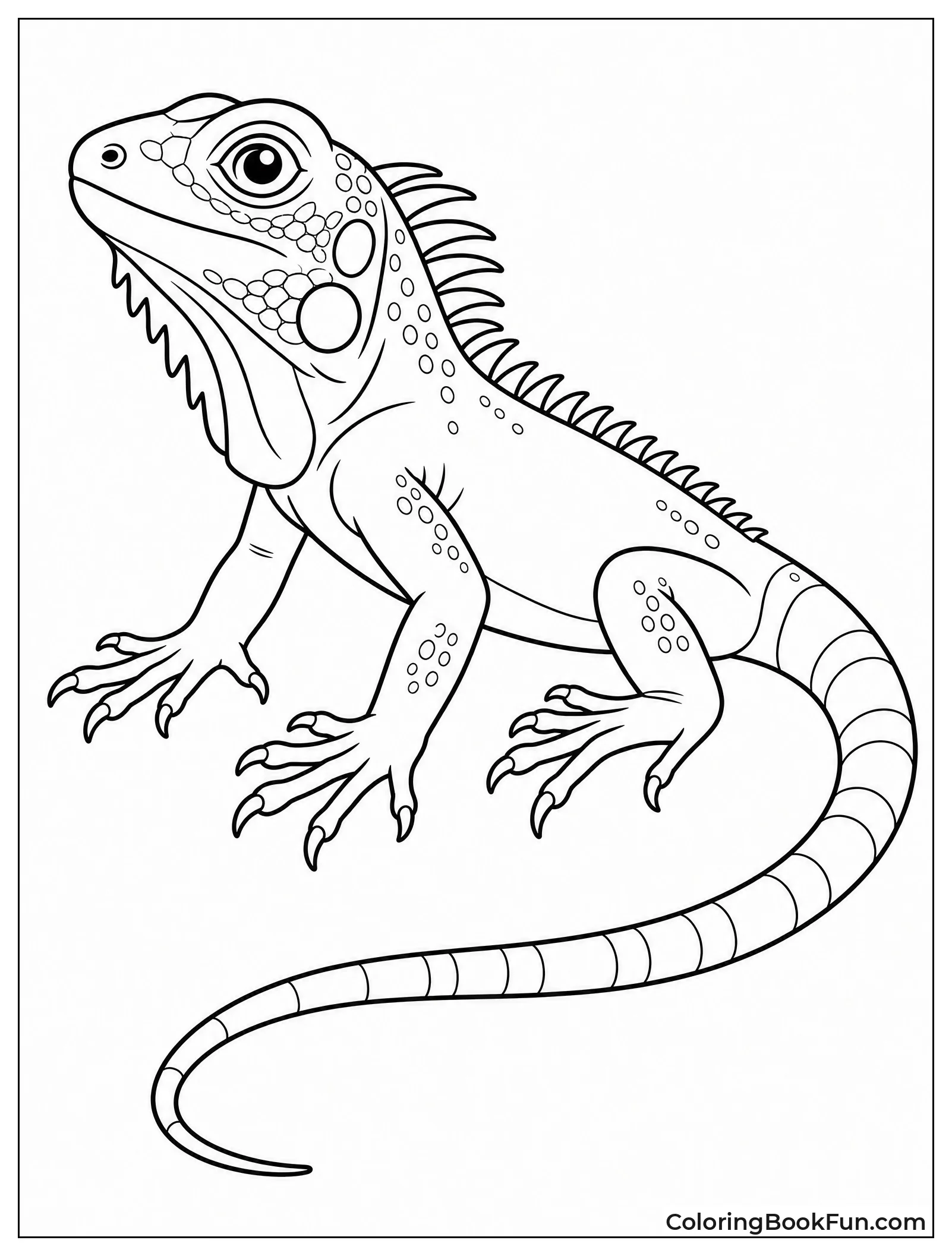 Young Iguana Looks Very Alert