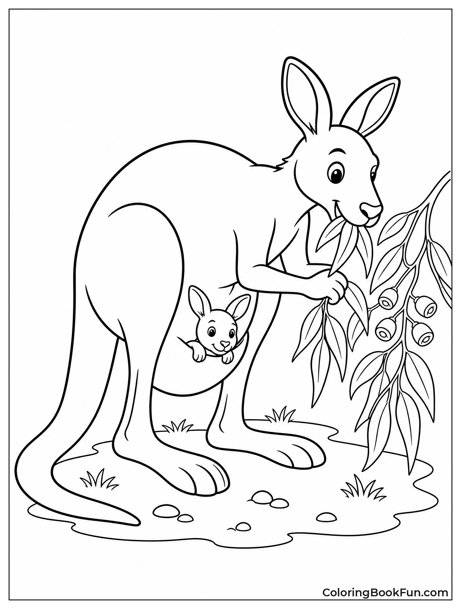 Kangaroo Eating Fresh Green Leaves