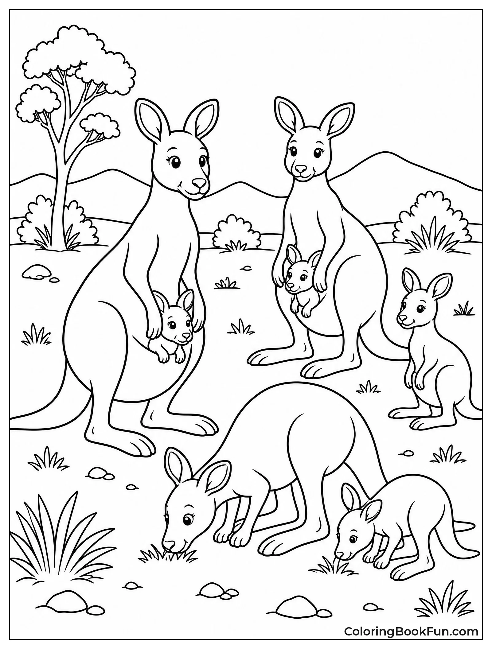 Family of Kangaroos in Outback
