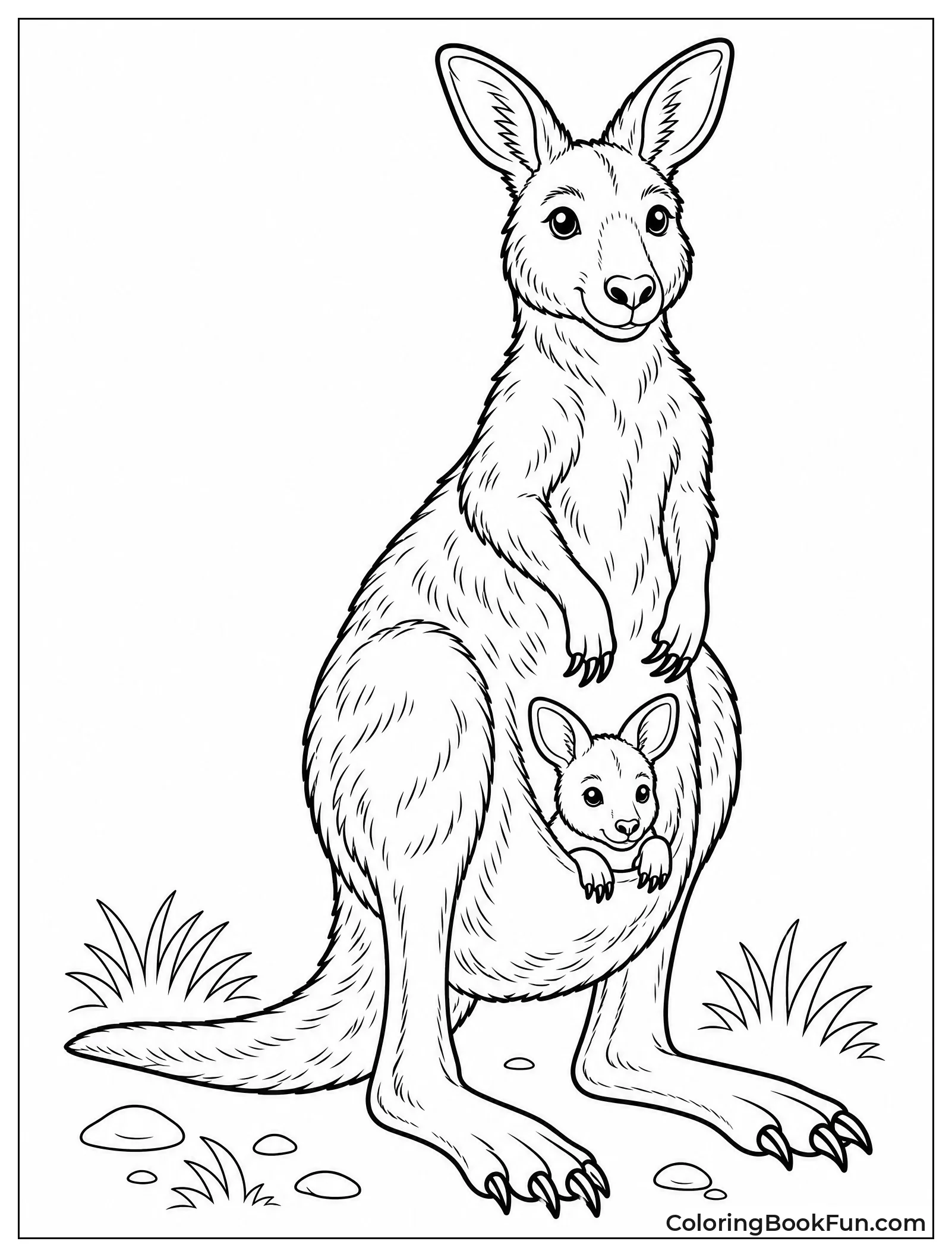 Detailed Kangaroo Showing Fur and Claws