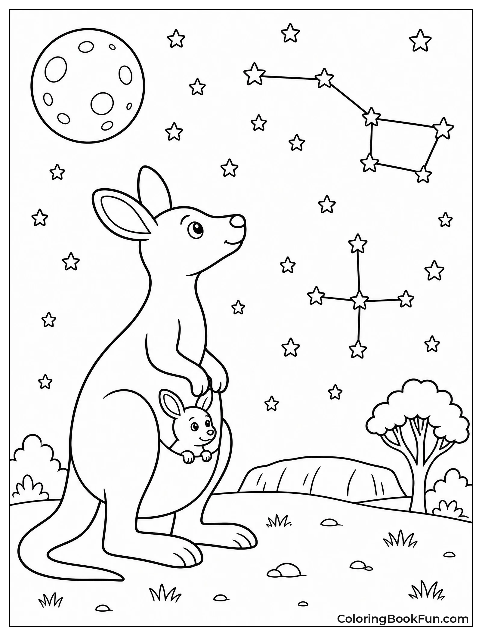 Kangaroo Looking at Night Stars