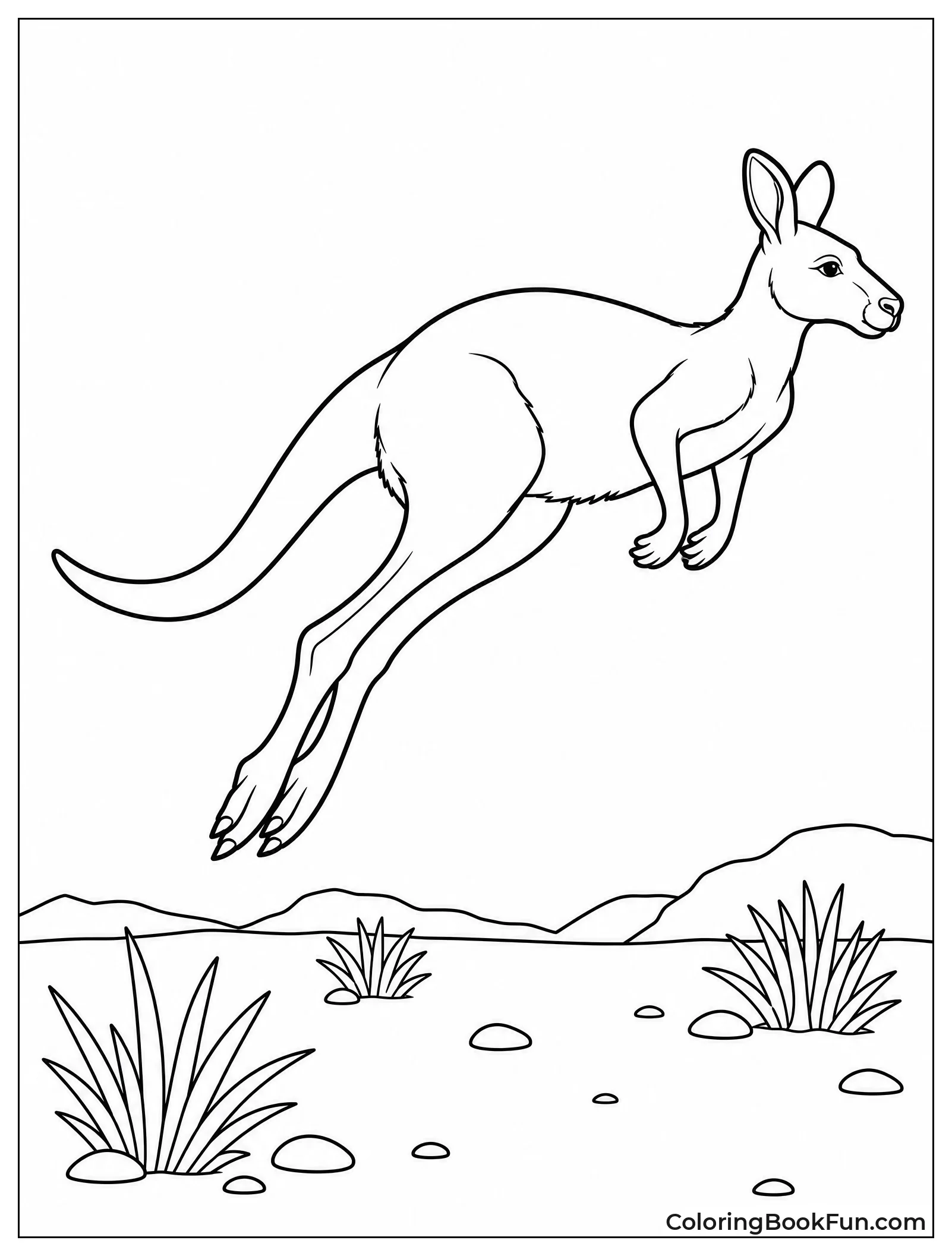 Kangaroo Leaping High Across the Outback