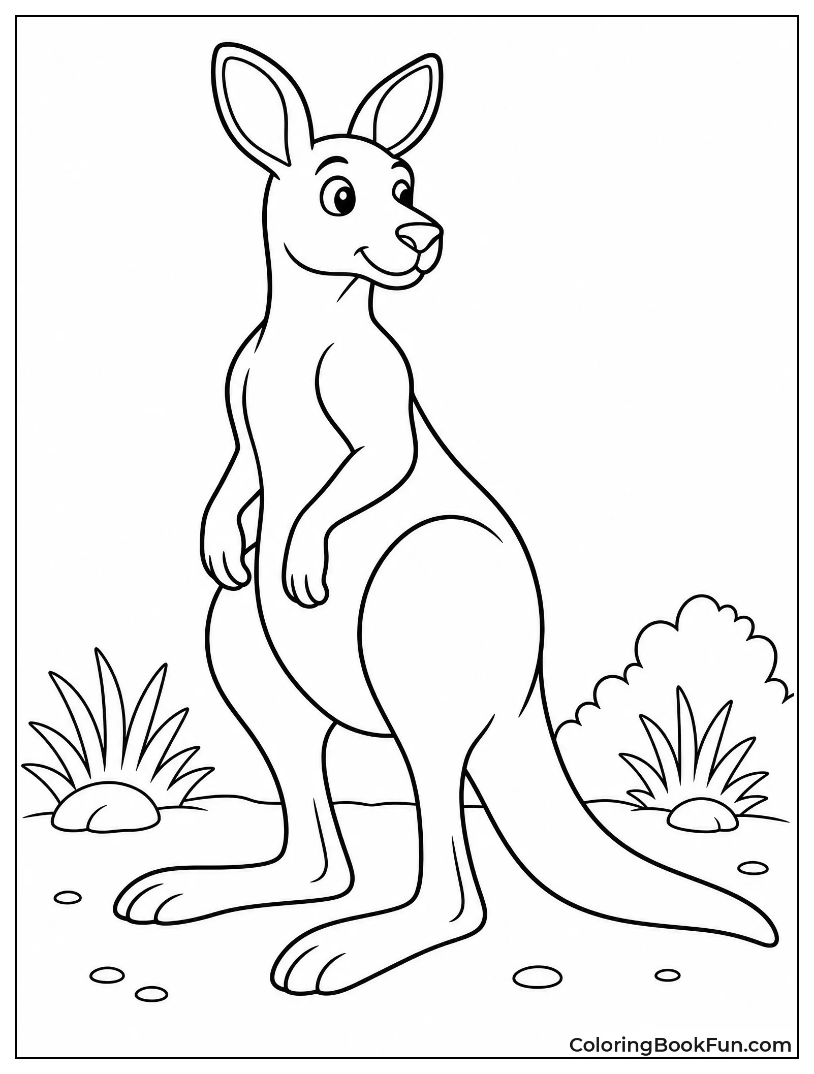 Kangaroo Using Tail to Stand Tall