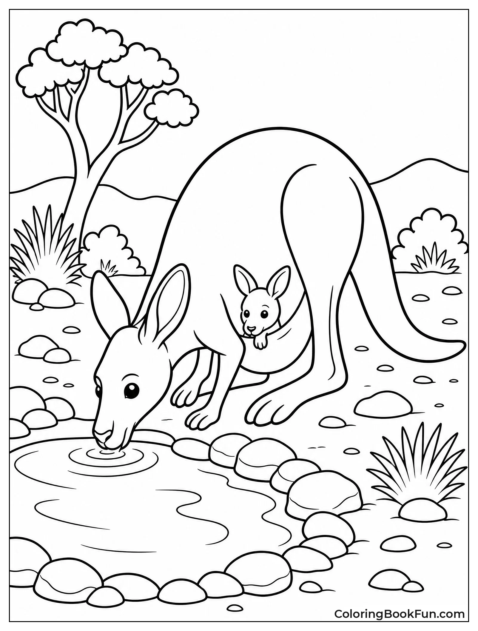 Kangaroo Drinking at the Waterhole
