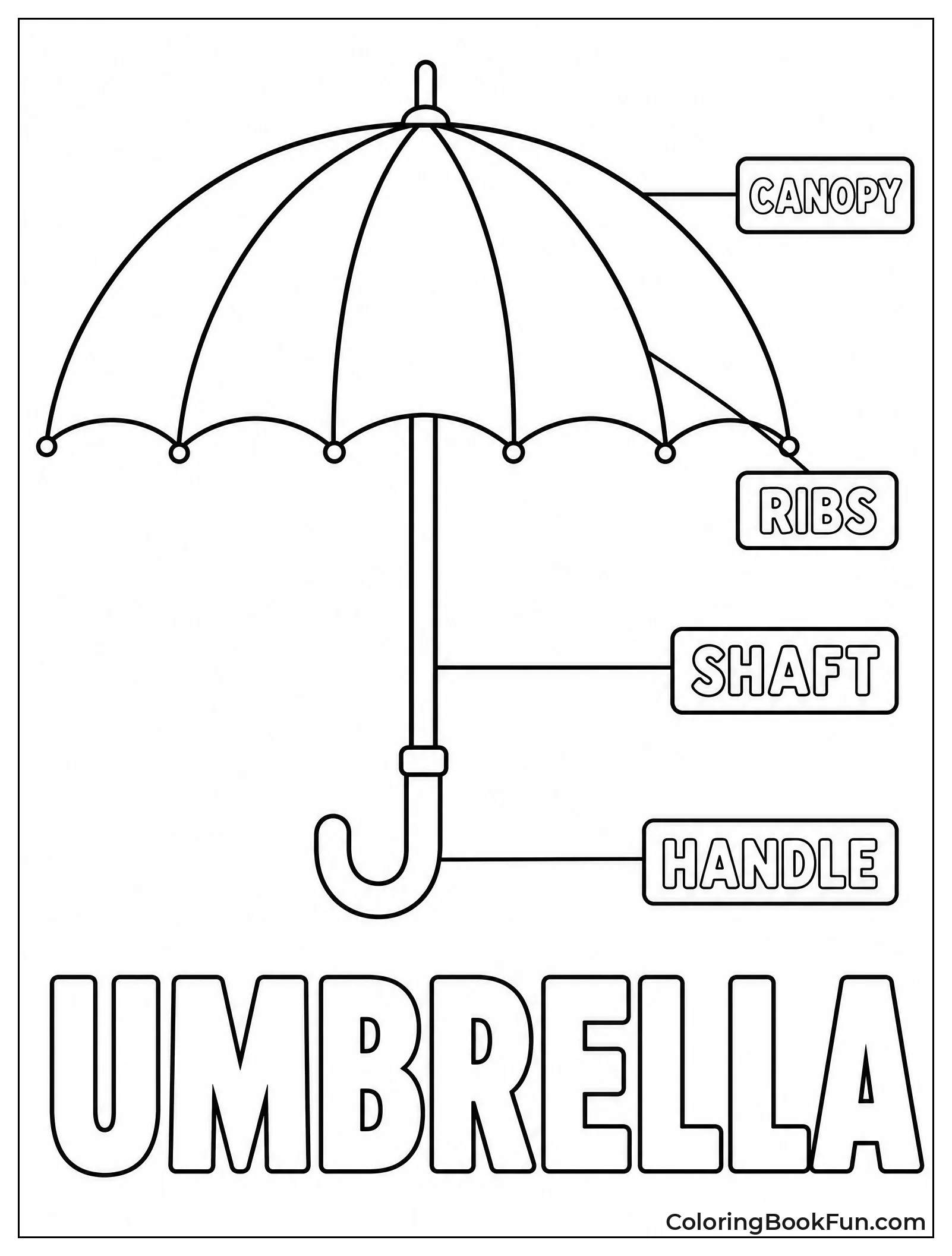Diagram Shows Parts of an Umbrella