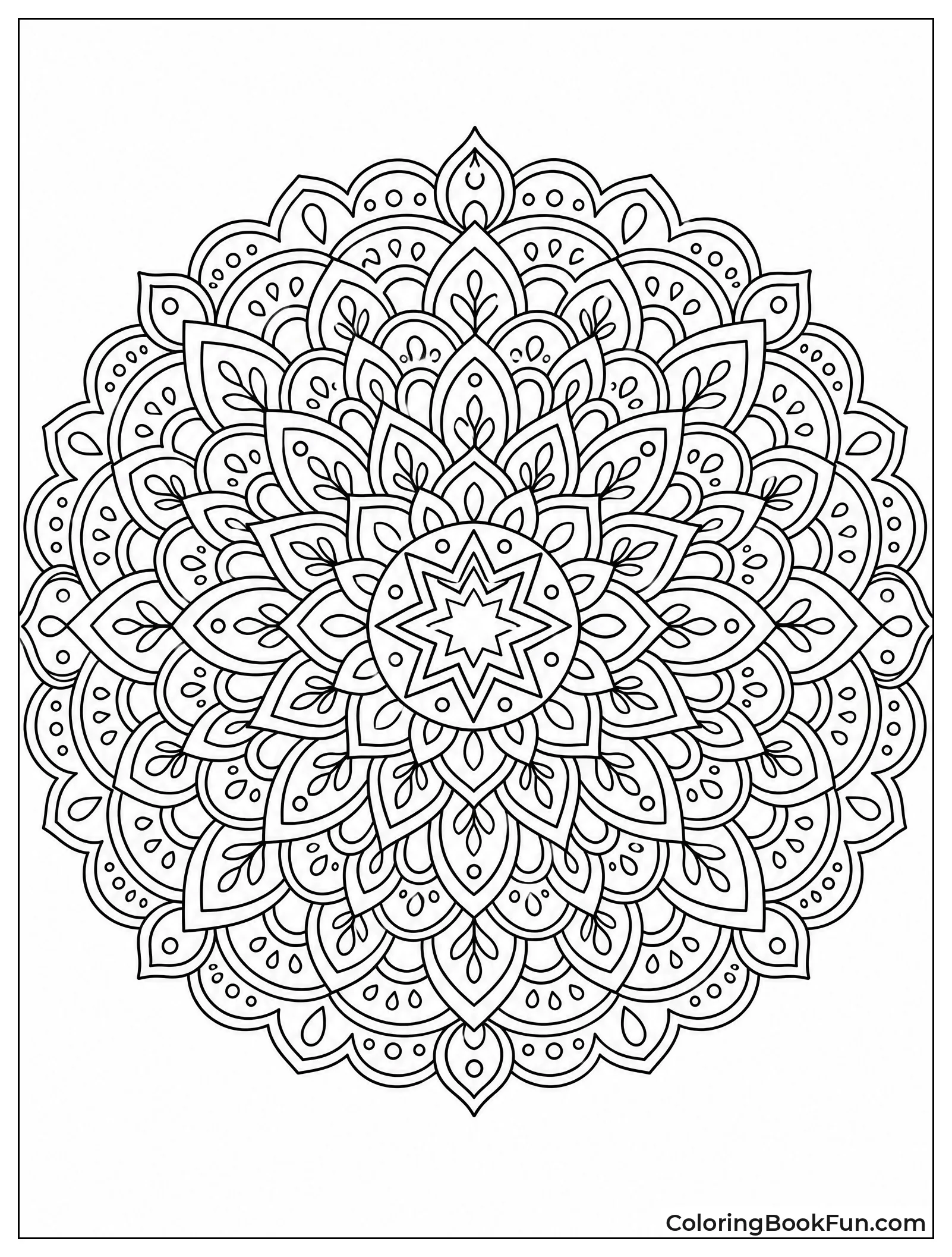 Many Layers Form Intricate Mandala