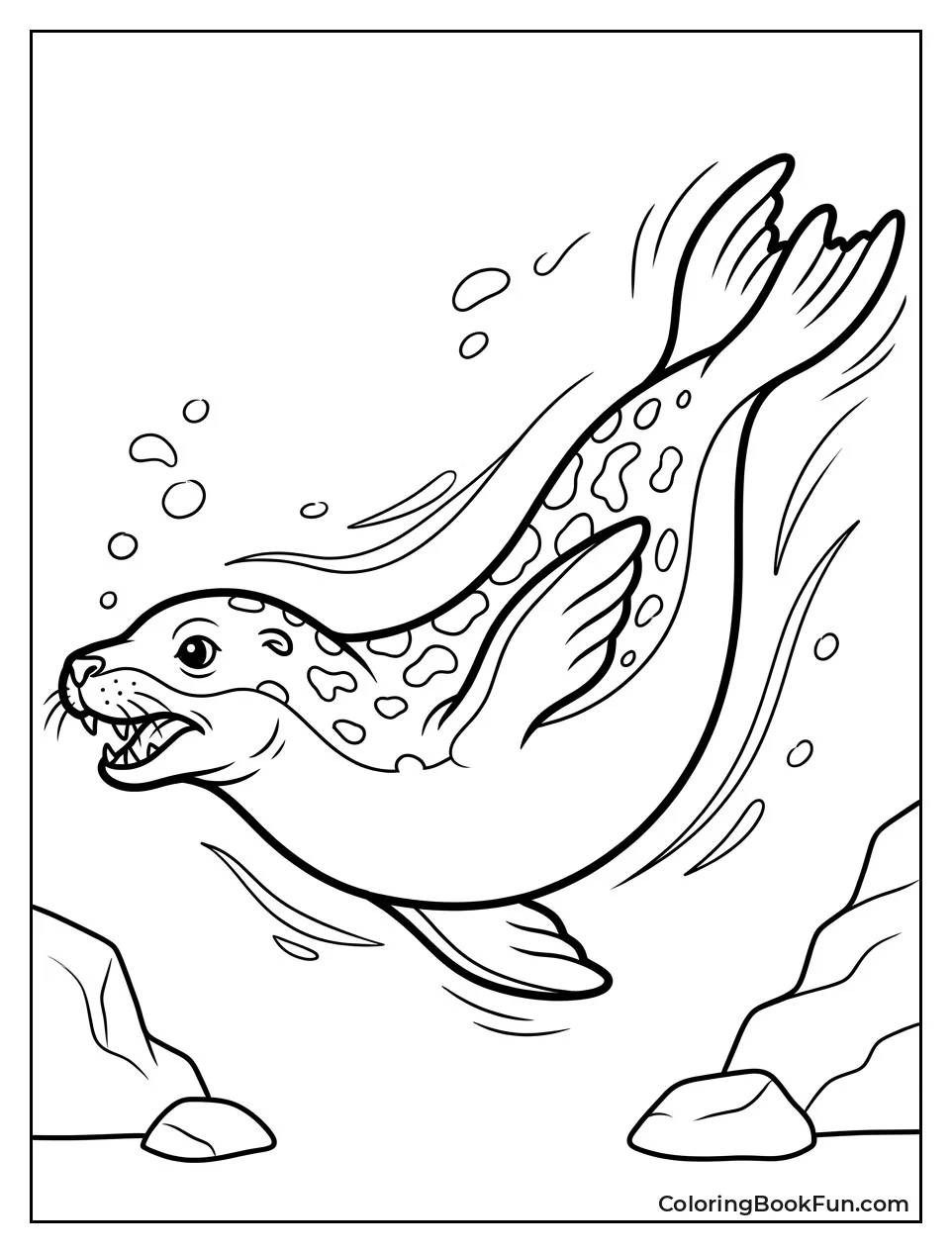 Leopard Seal Swimming With Teeth Showing