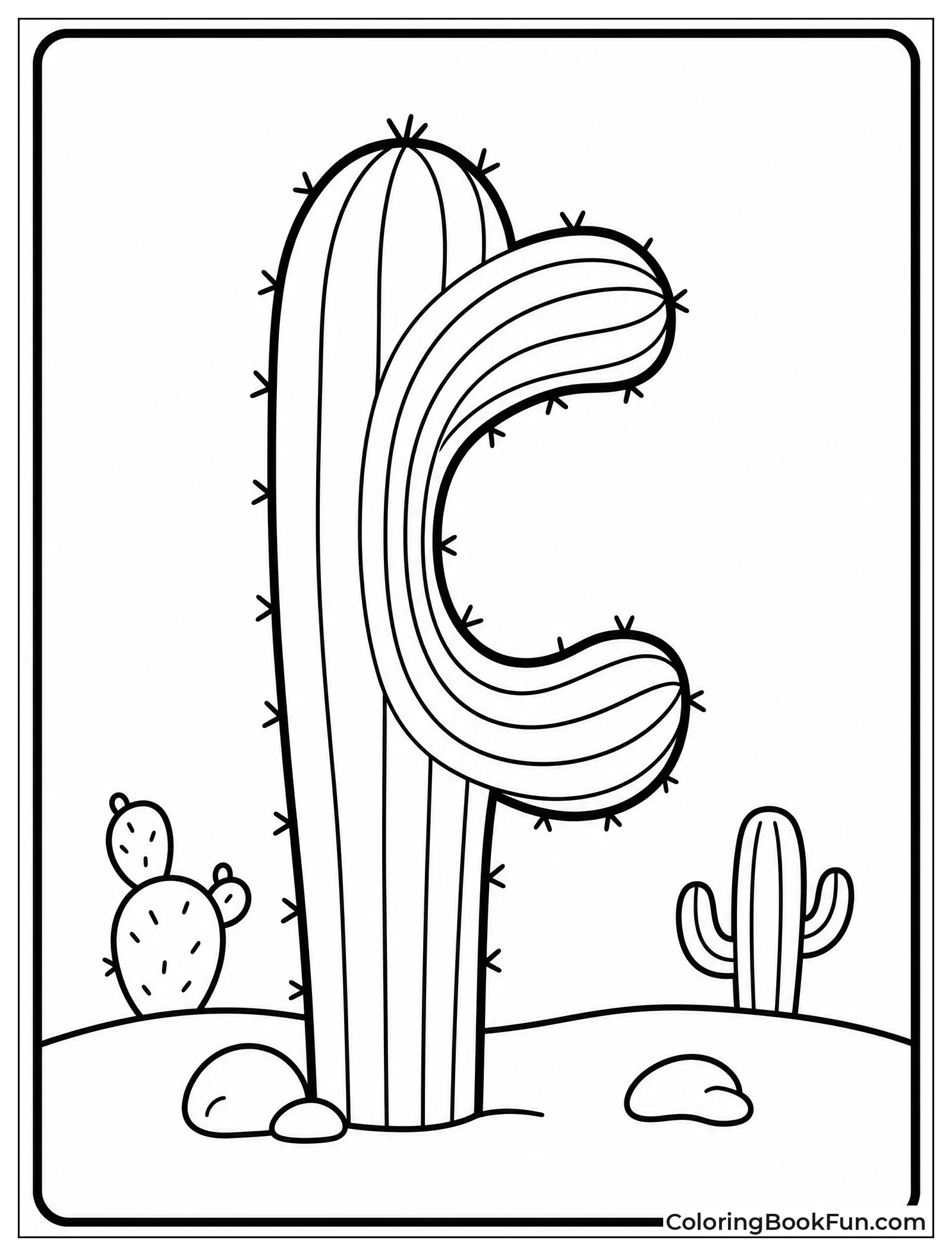 Cactus Arms Curve Like Letter C