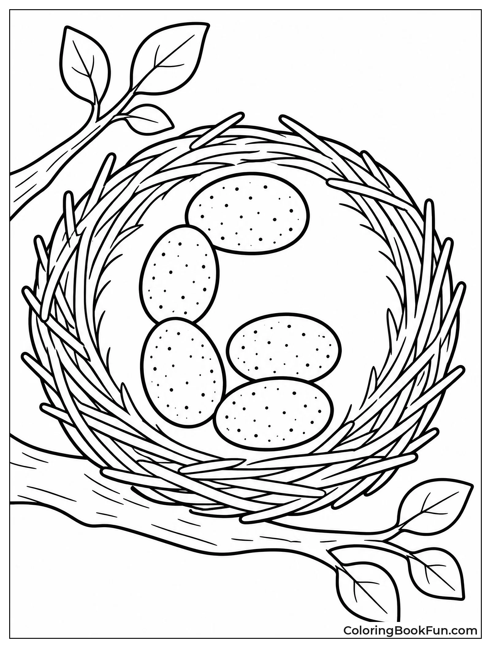Eggs Arranged in a Nest